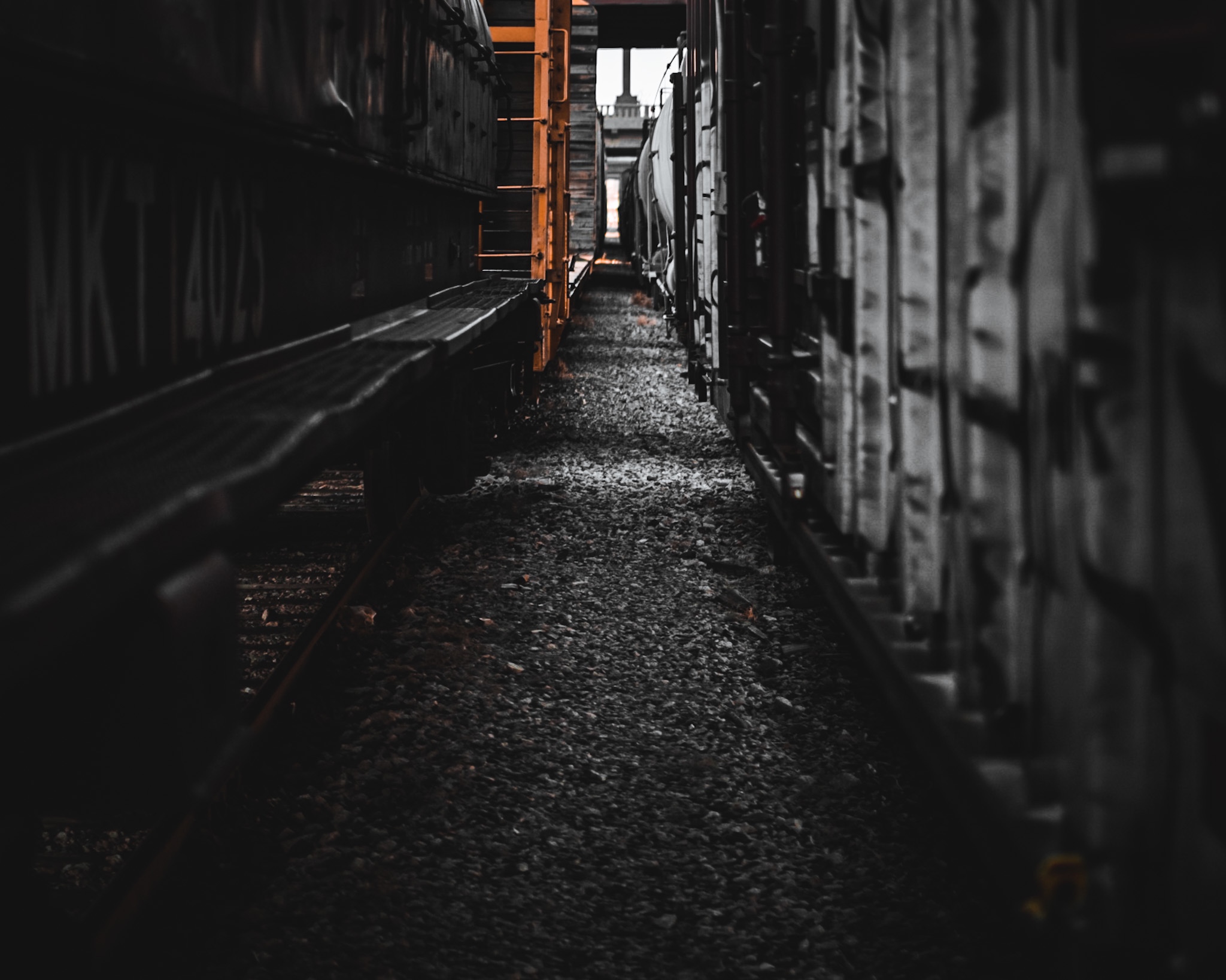 Fujifilm X-S10 Mirrorless Digital Camera XF18-55mm Lens Kit - Black - Customer Photo 2