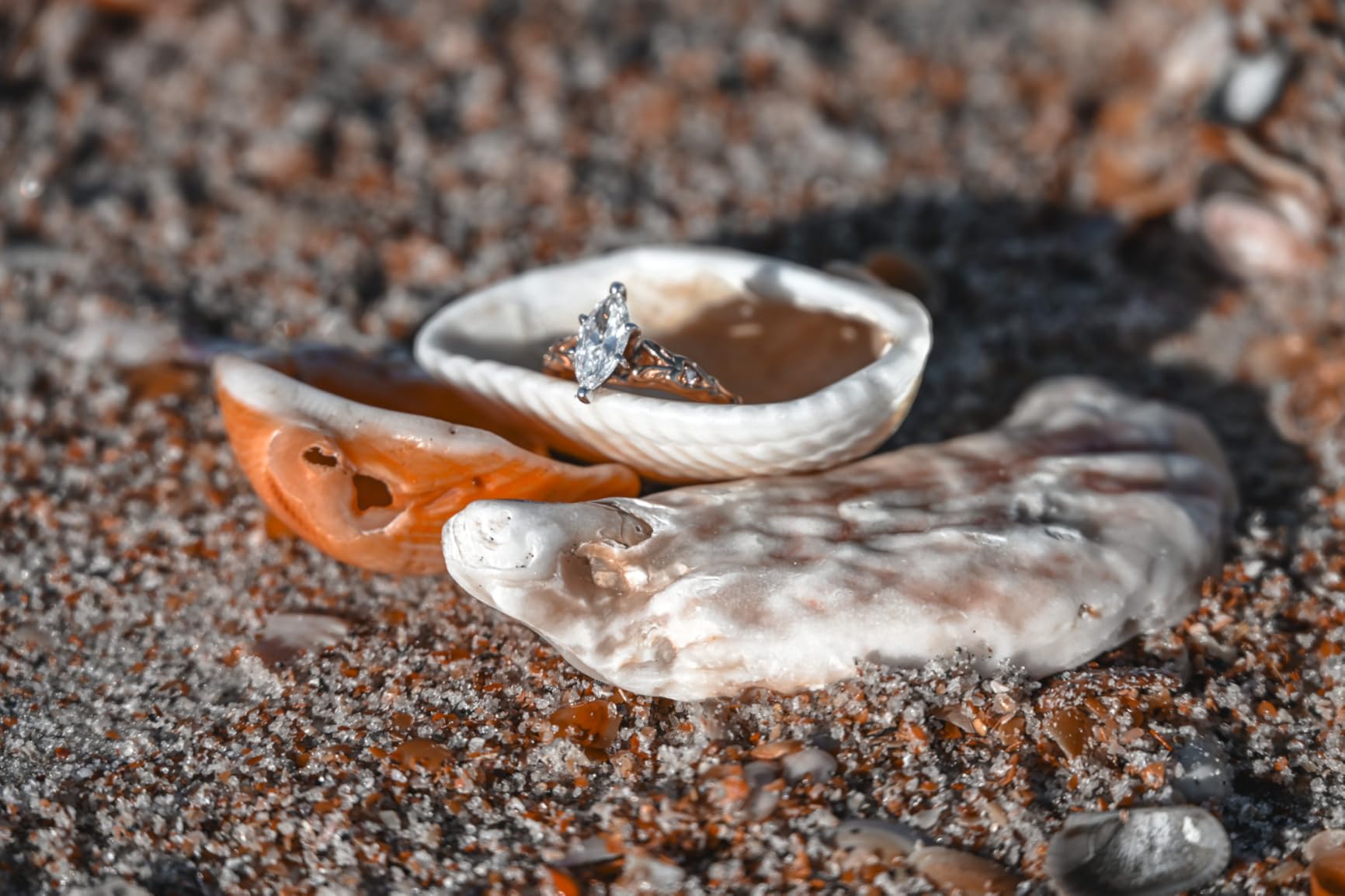 Nikon Z 7II | Ultra-high resolution full-frame mirrorless stills/video camera | Nikon USA Model Customer Review Nikon Z 7II | Ultra-high resolution full-frame mirrorless stills/video camera | Nikon USA Model - Customer Photo 1