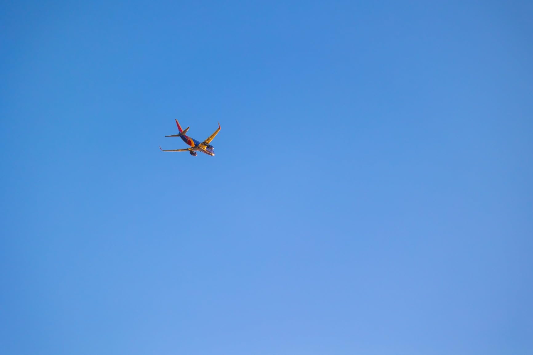 Canon RF70-200mm F4 L is USM Lens, Telephoto Zoom Lens, Compatible with EOS R Series Mirrorless Cameras - Customer Photo 1