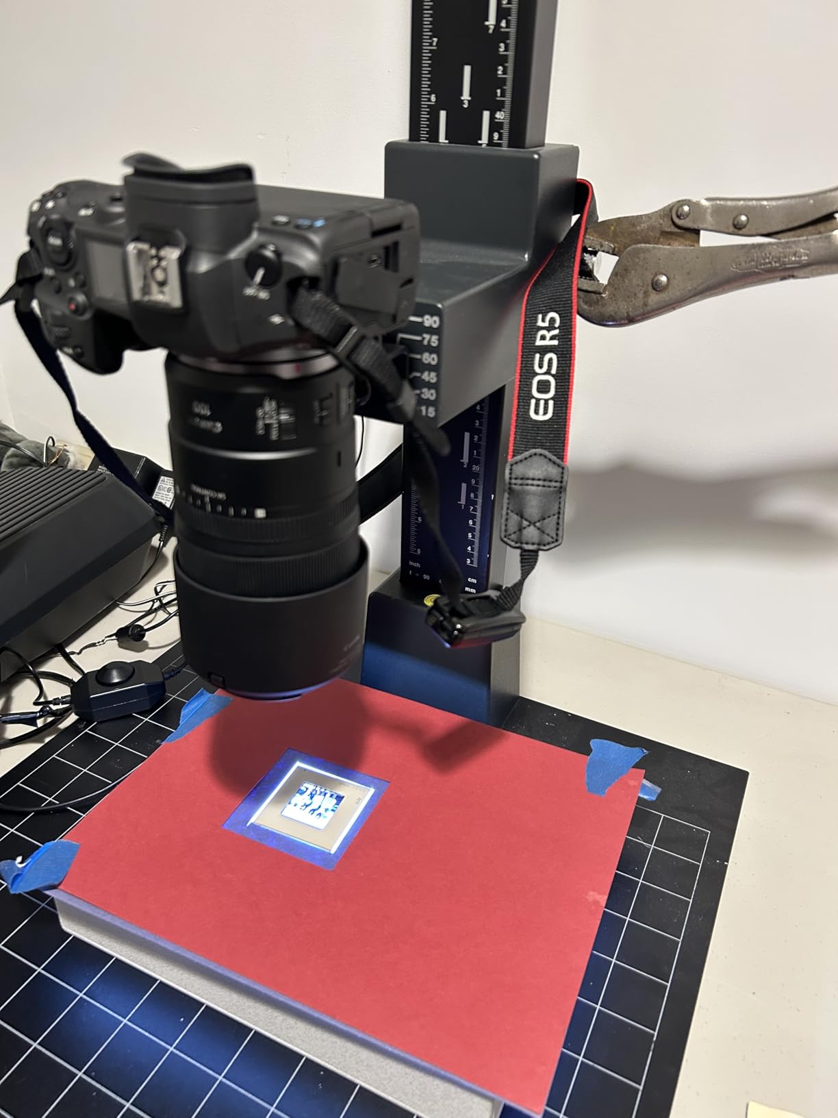 RF100mm F2.8 L Macro is USM Lens, Medium Telephoto Lens, Macro Lens, Compatible with EOS R Series Mirrorless Cameras, Black - Customer Photo 1