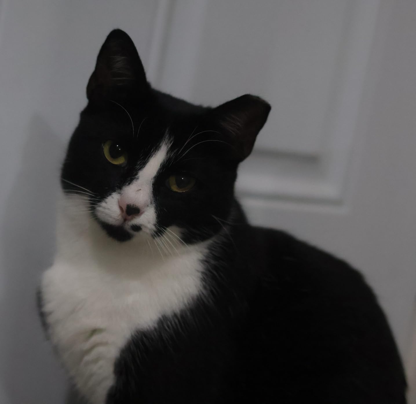 Canon RF50mm F1.8 STM Lens - Customer Photo 2