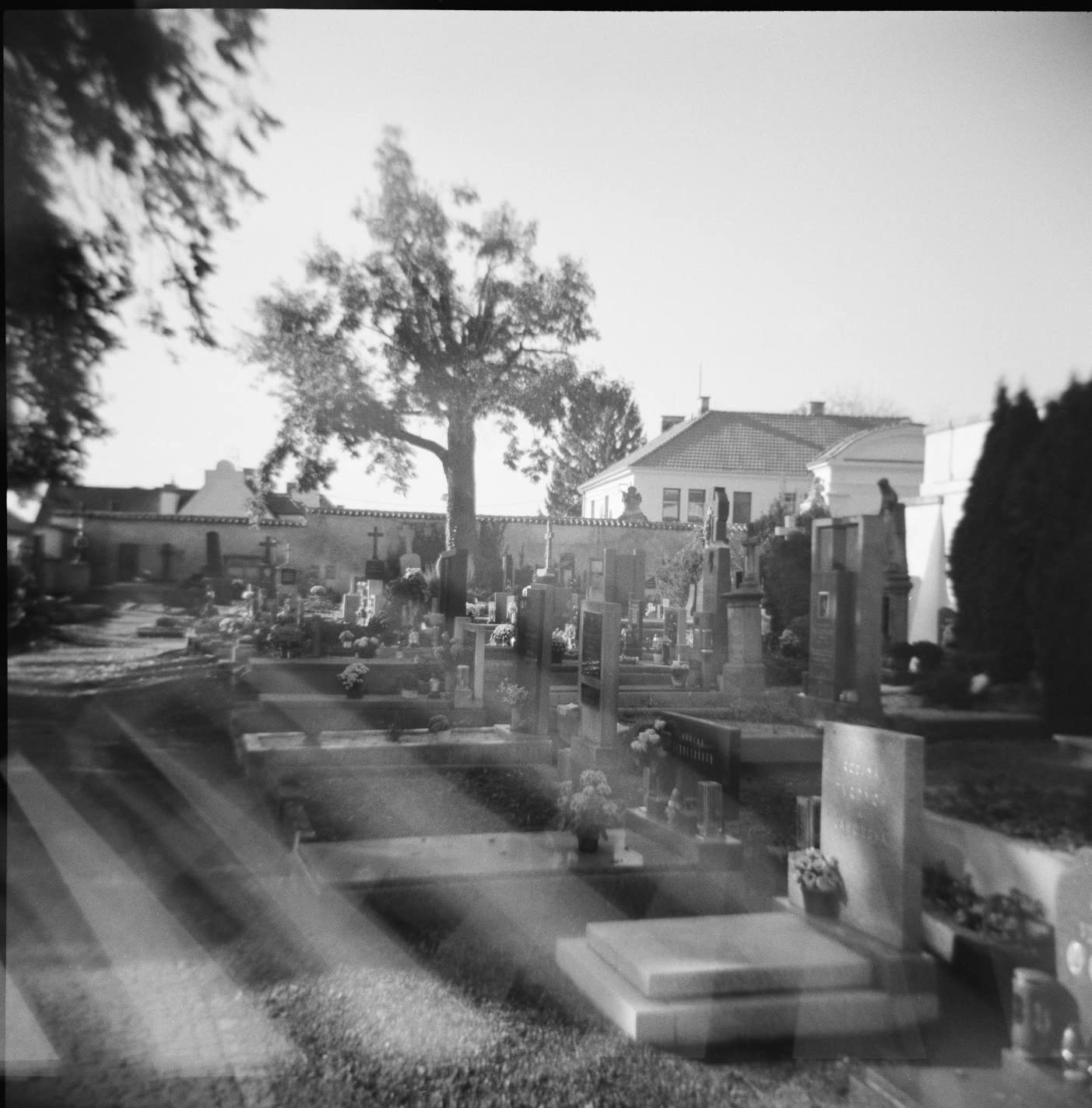 Holga 173-120 Holgawood 120N Medium Format Camera (Casablanco) Bundle with Black & White Negative Film (120 Roll Film) - Customer Photo 1