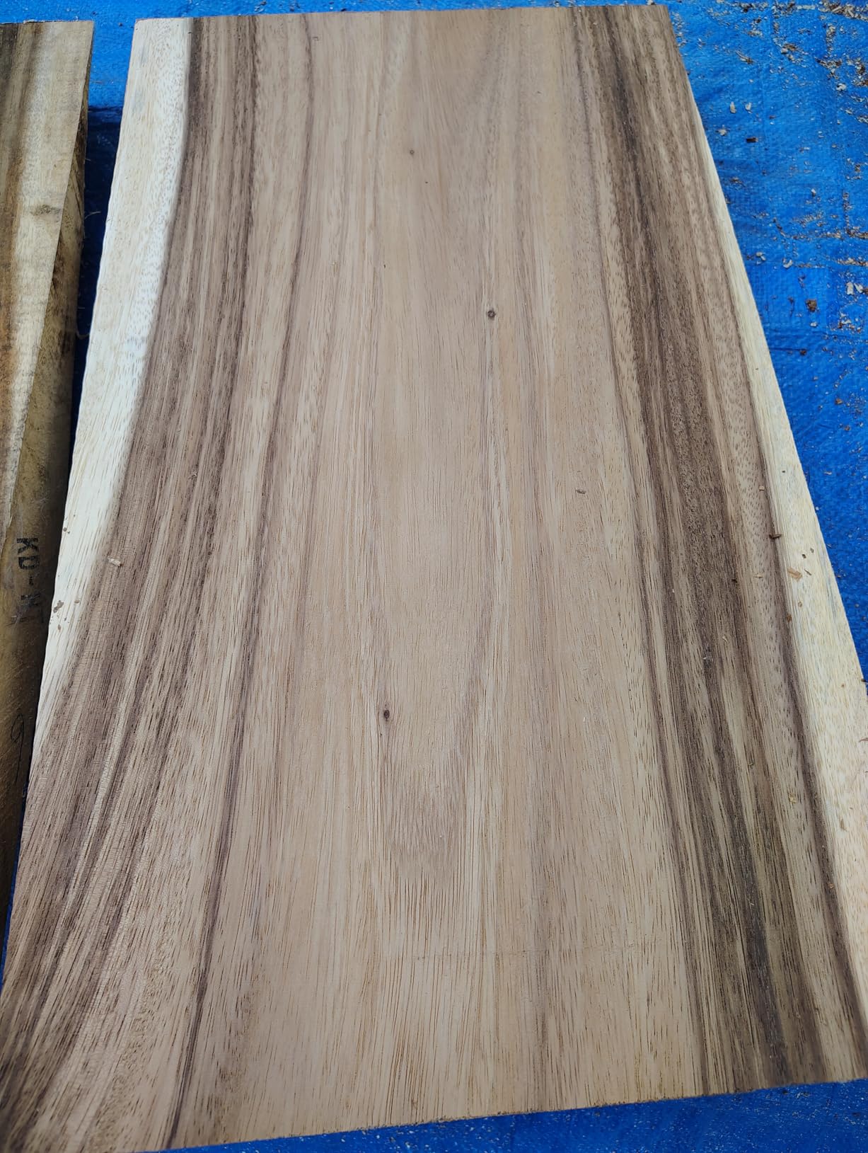 WEN PL1326 15-Amp 13-Inch Spiral Benchtop Thickness Planer - Customer Photo 2