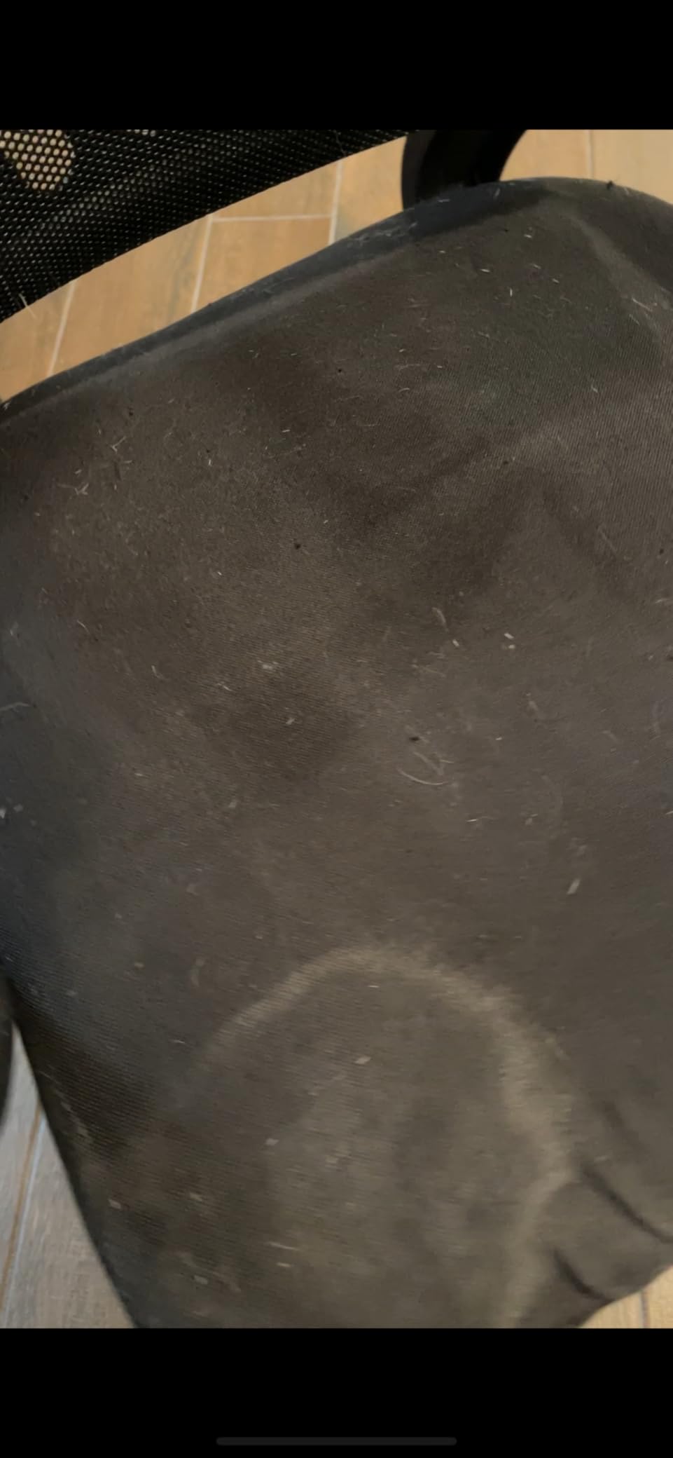 Vacmaster 5-Gallon* 4 Peak HP Stainless Steel Wet/Dry Vacuum – VOC508S 1101 - Customer Photo 1