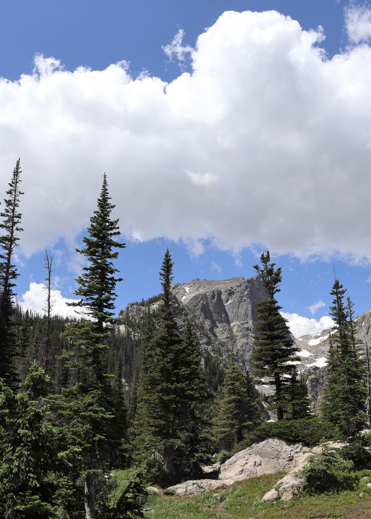 Canon EOS M50 Mark II + EF-M 15-45mm is STM Kit Black (Renewed) - Customer Photo 1