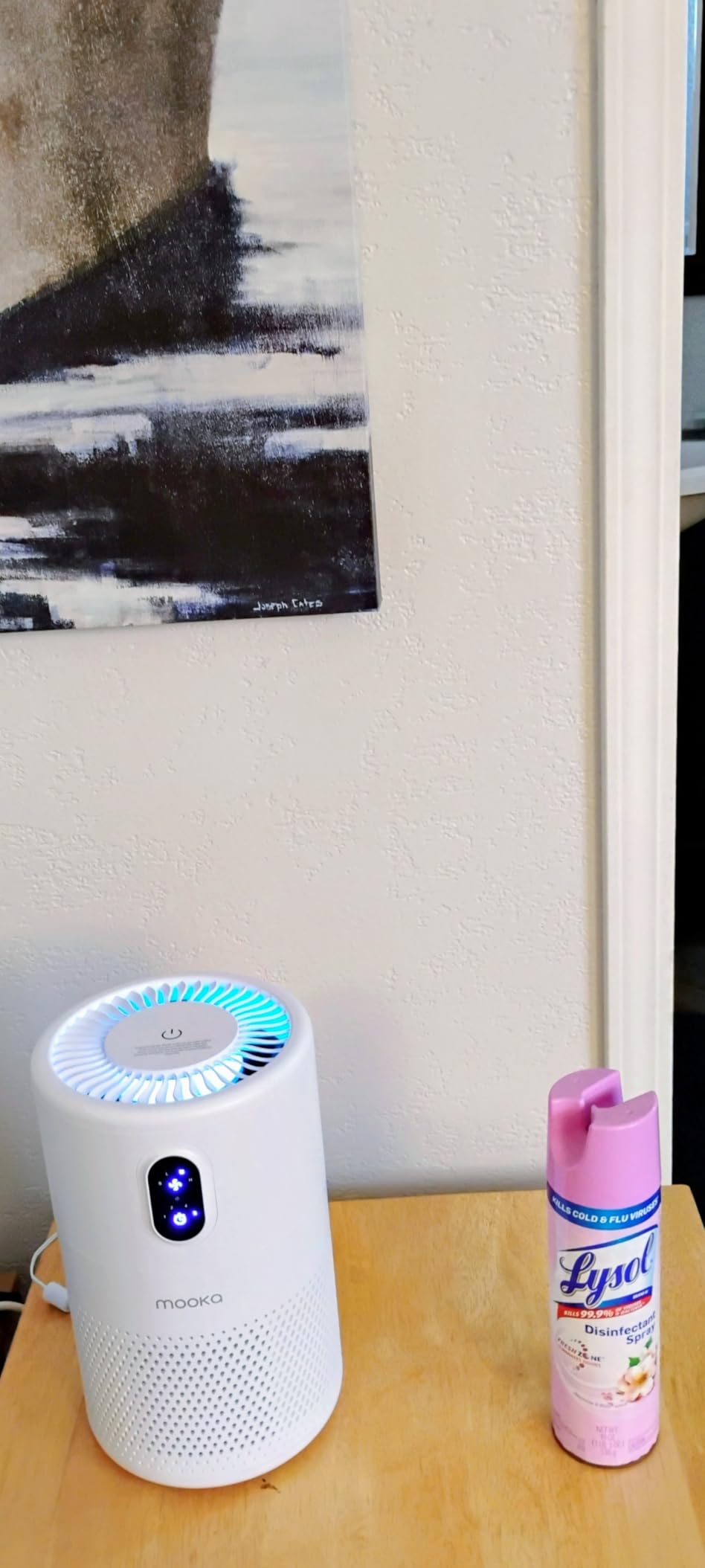 MOOKA Air Purifiers for Home Large Room up to 1076 ft², H13 True HEPA Air Filter Cleaner, Odor Eliminator, Remove Smoke Dust Pollen Pet Dander, Night Light(Available for California) - Customer Photo 2