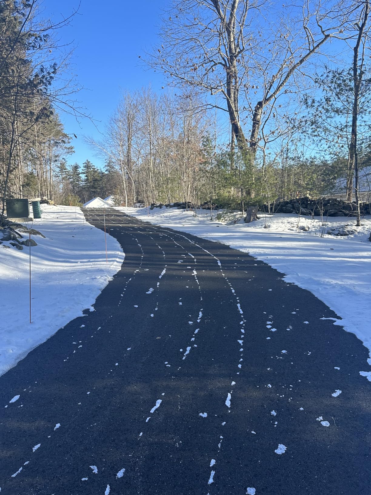 Echo 220 MPH 1110 CFM 79.9 cc Gas 2-Stroke X Series Backpack Blower with Tube-Mounted Throttle PB-9010T - Customer Photo 1