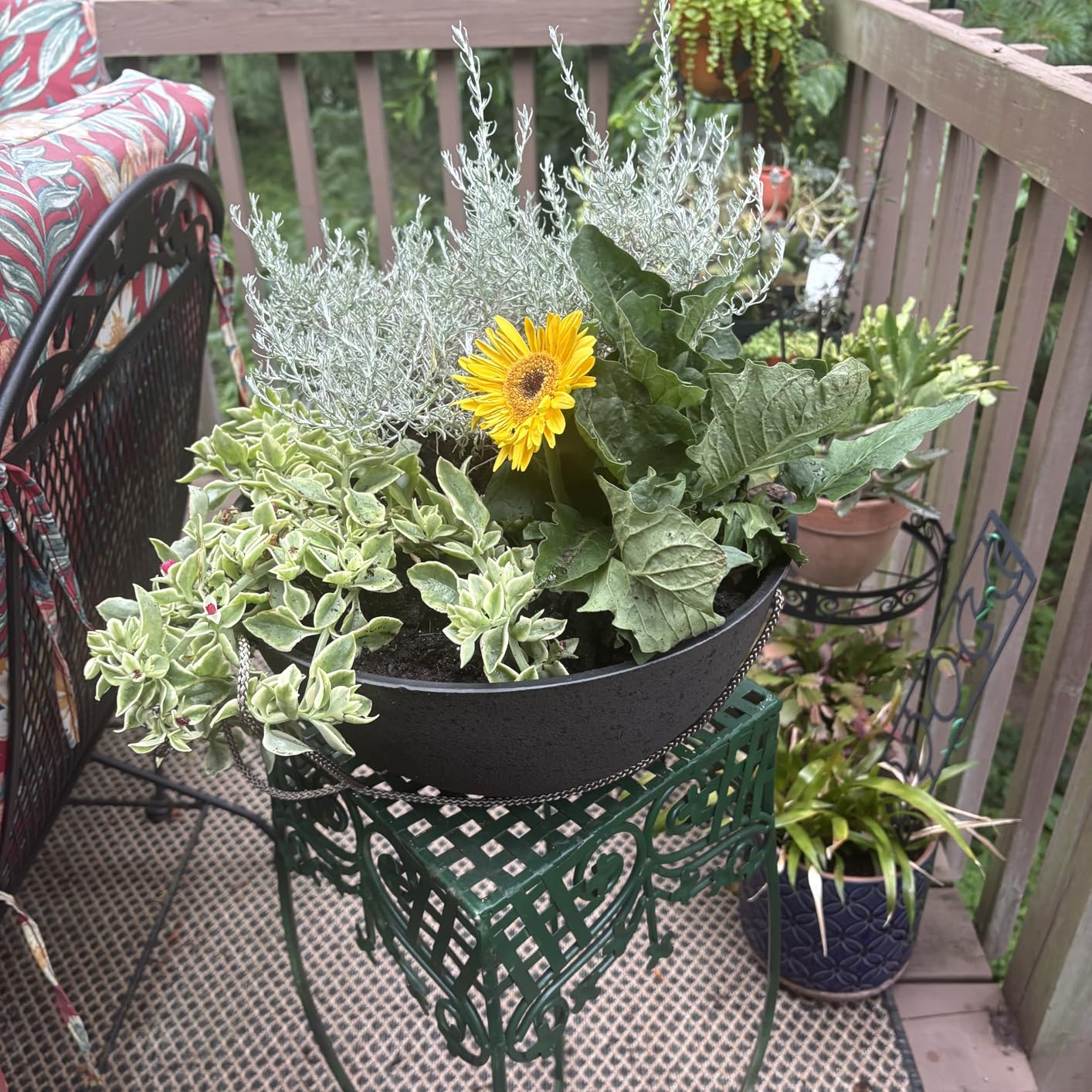 LA JOLIE MUSE Large Hanging Planters - 13 Inch Flower Pots Outdoor Indoor, Hanging Garden Planters Set of 2, New Iron Color - Customer Photo 2