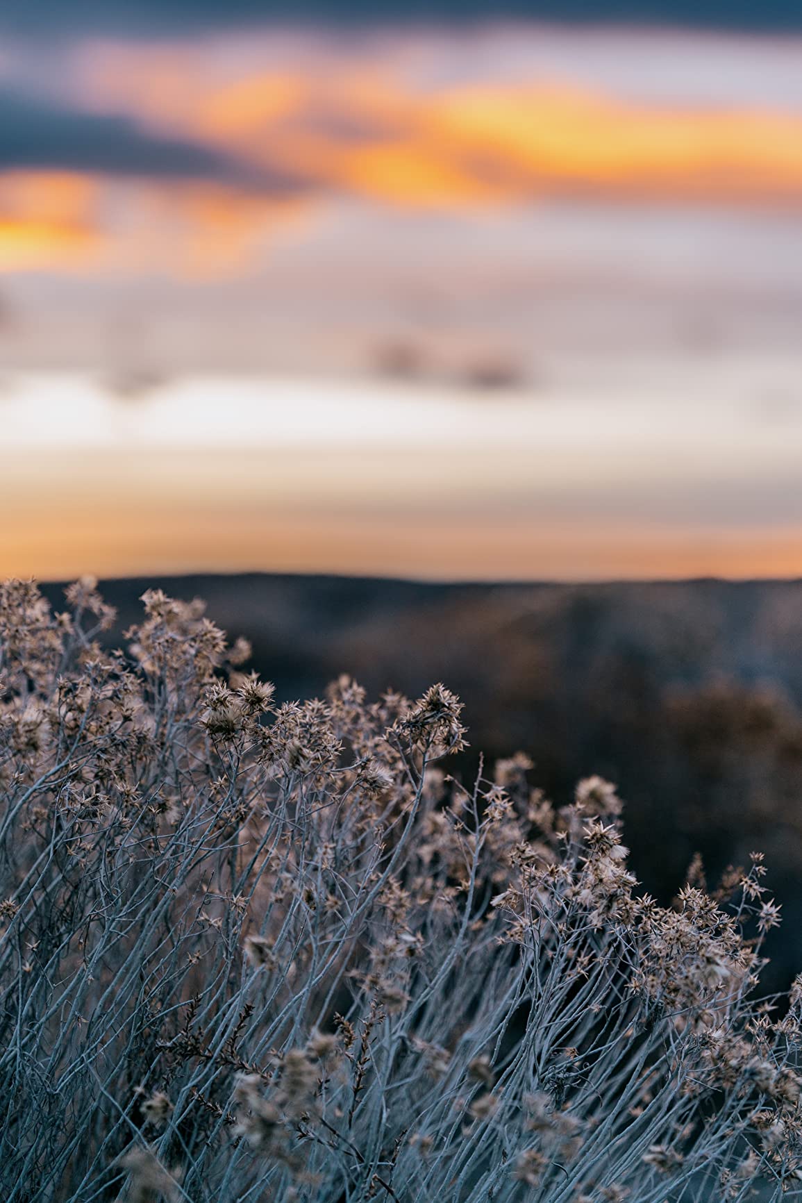 Sigma 65mm F2 DG DN Contemporary Lens for Sony E (I-Series) - Customer Photo 1