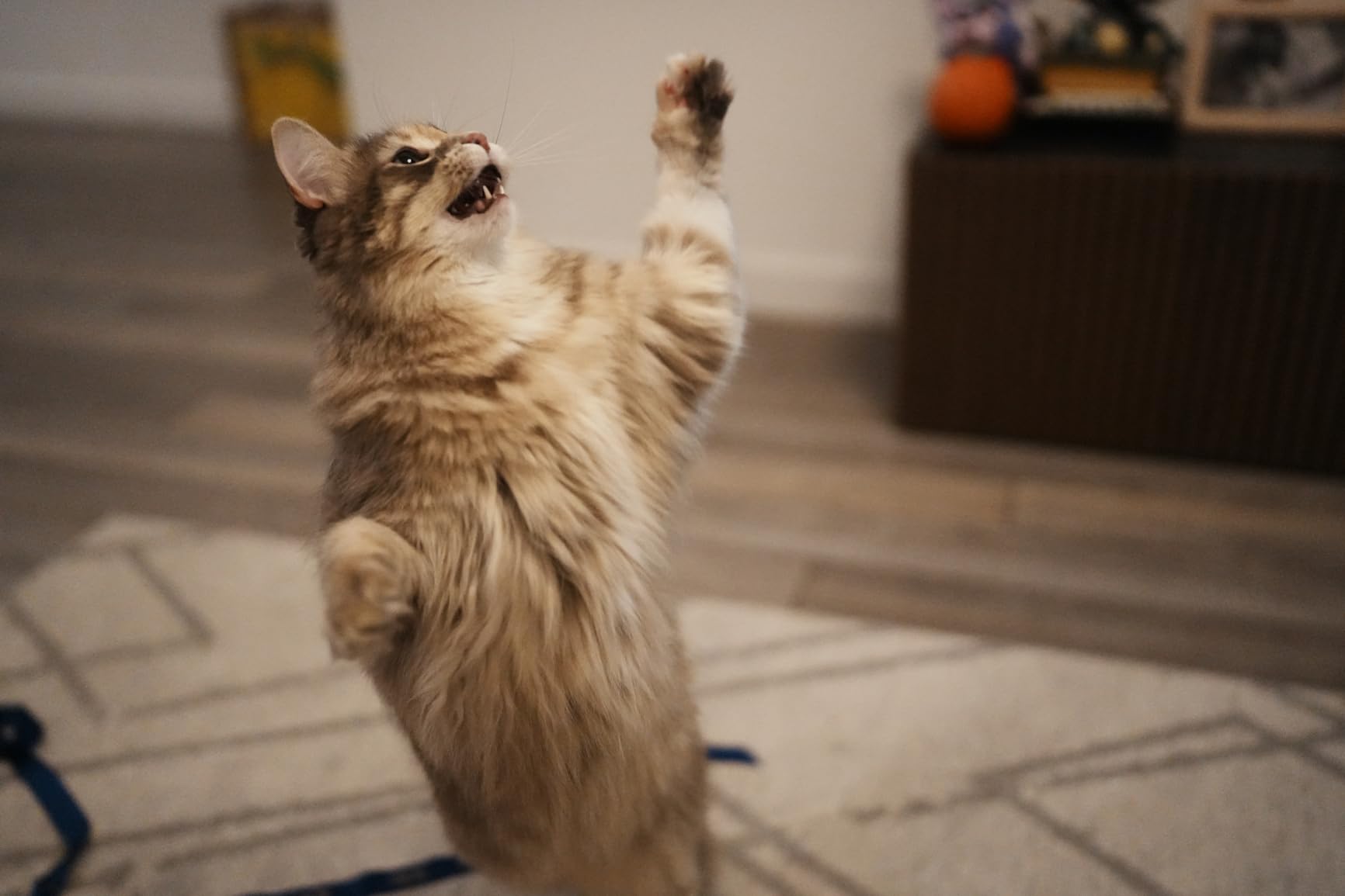 Sony FE 35mm F1.4 GM Full-Frame Wide-Angle Prime Lens - Customer Photo 1