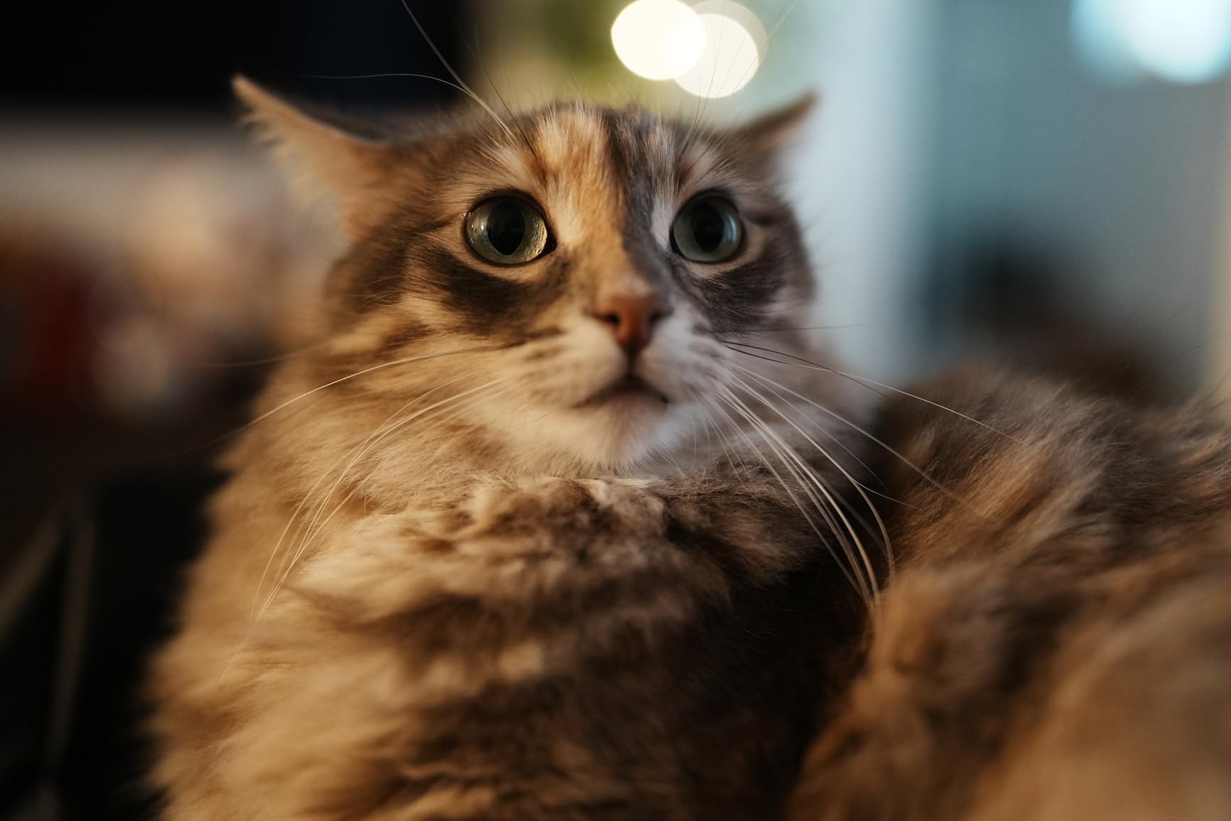 Sony FE 35mm F1.4 GM Full-Frame Wide-Angle Prime Lens - Customer Photo 2