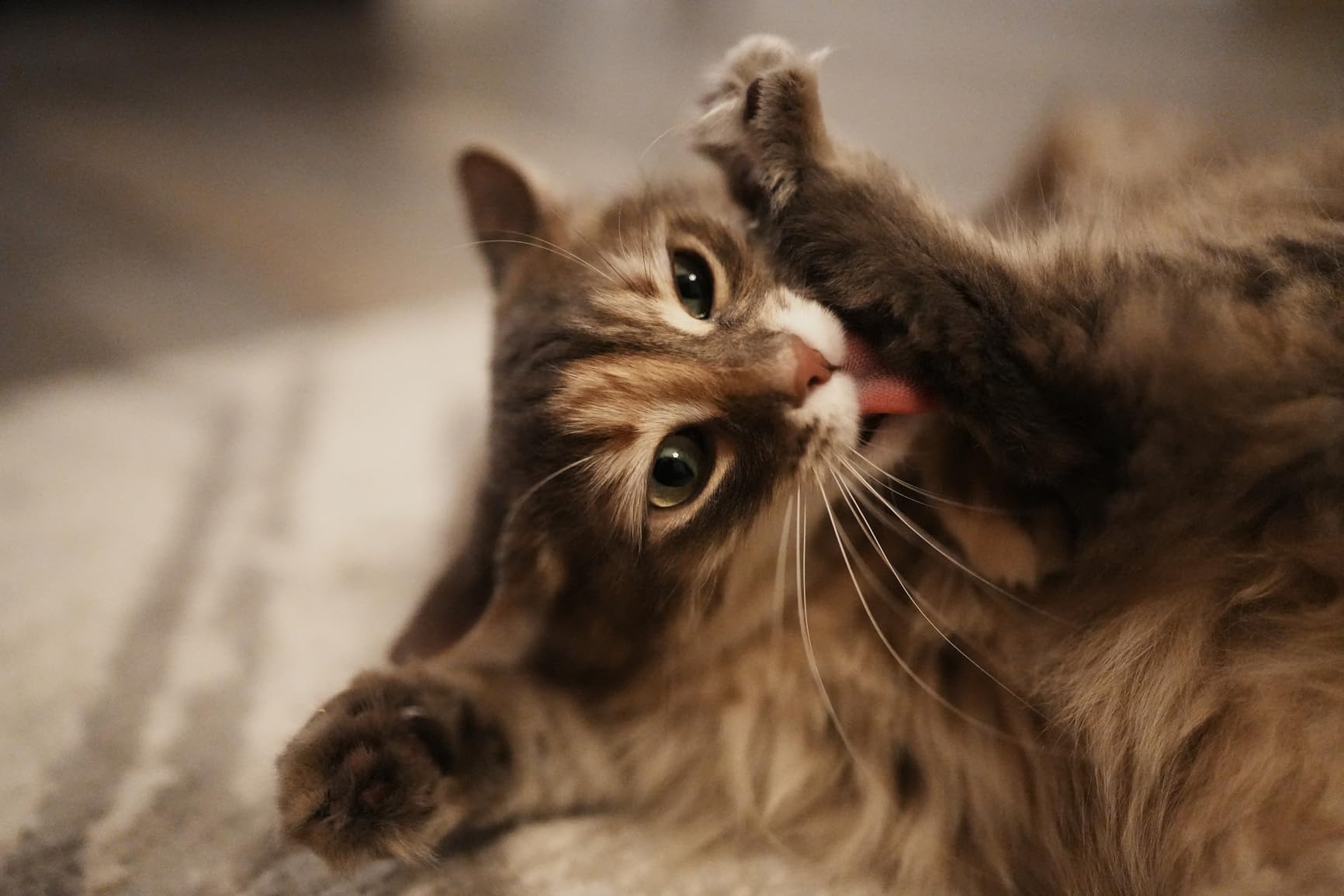 Sony FE 35mm F1.4 GM Full-Frame Large-Aperture Wide Angle G Master Lens - Customer Photo 3