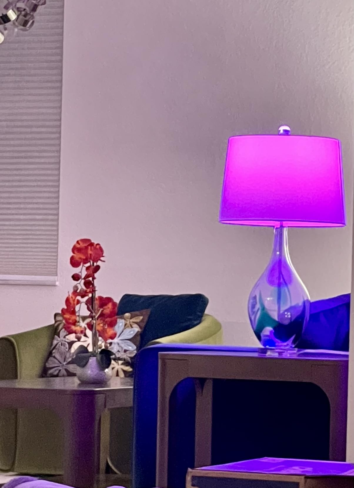 Kasa Smart Light Bulbs, Full Color Changing Dimmable Smart WiFi Bulbs Compatible with Alexa and Google Home, A19, 60 W 800 Lumens,2.4Ghz only, No Hub Required, 2-Pack (KL125P2), Multicolor - Customer Photo 2