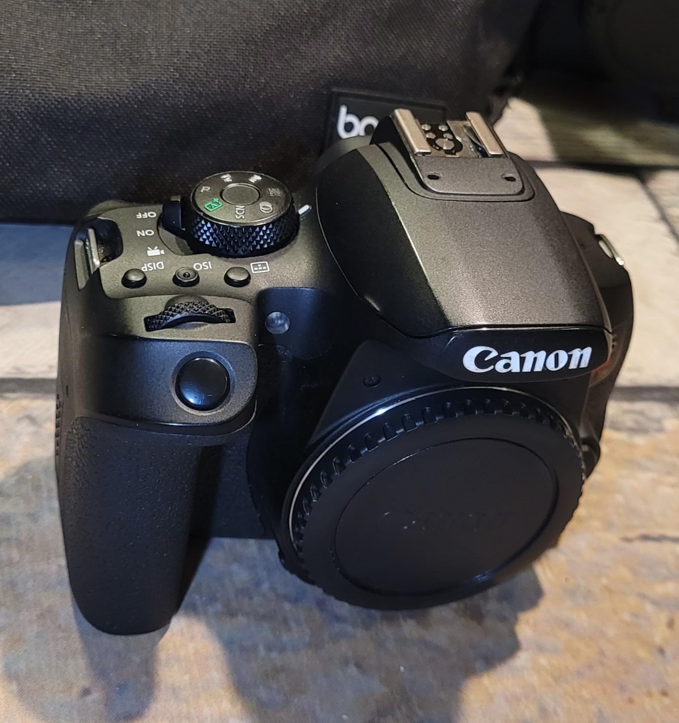 Canon EOS Rebel T8i DSLR Camera EF-S 18-55mm is STM Lens Kit, Black (Renewed) - Customer Photo 2