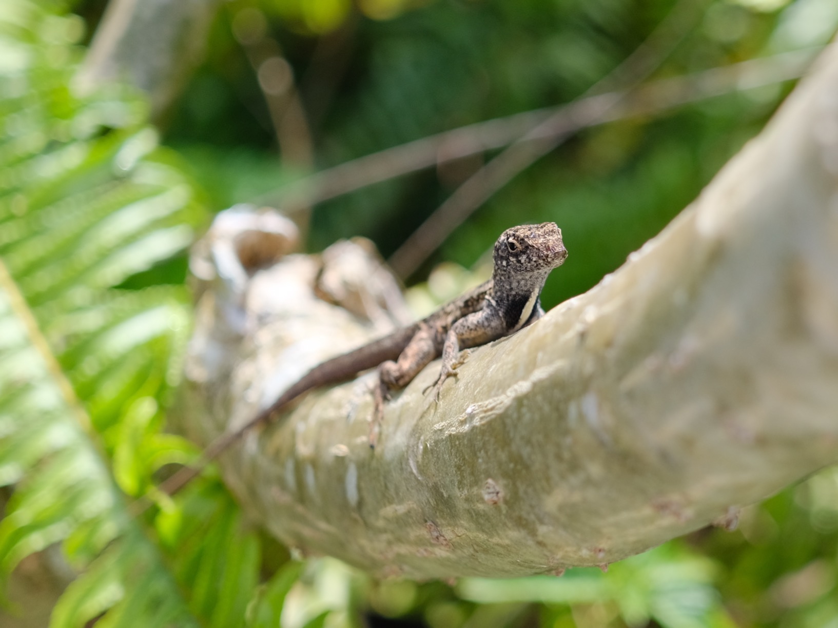 Fujifilm X-E4 Body - Silver - Customer Photo 1