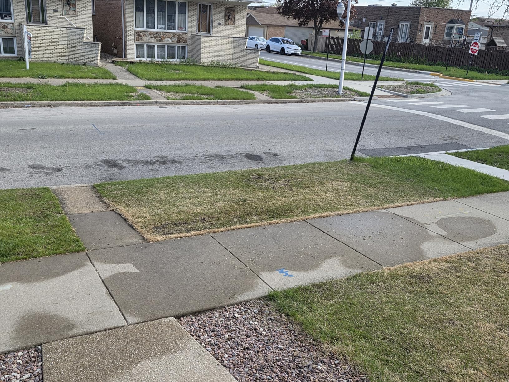 Sun Joe Corded Dethatcher & Scarifier with 13.2-Gal Bag, 15-Inch Cutting Width, 13-Amp Motor - Heavy-Duty Yard Trimmer for Gardening Care and Lawn Maintenance, AJ805E - Customer Photo 2