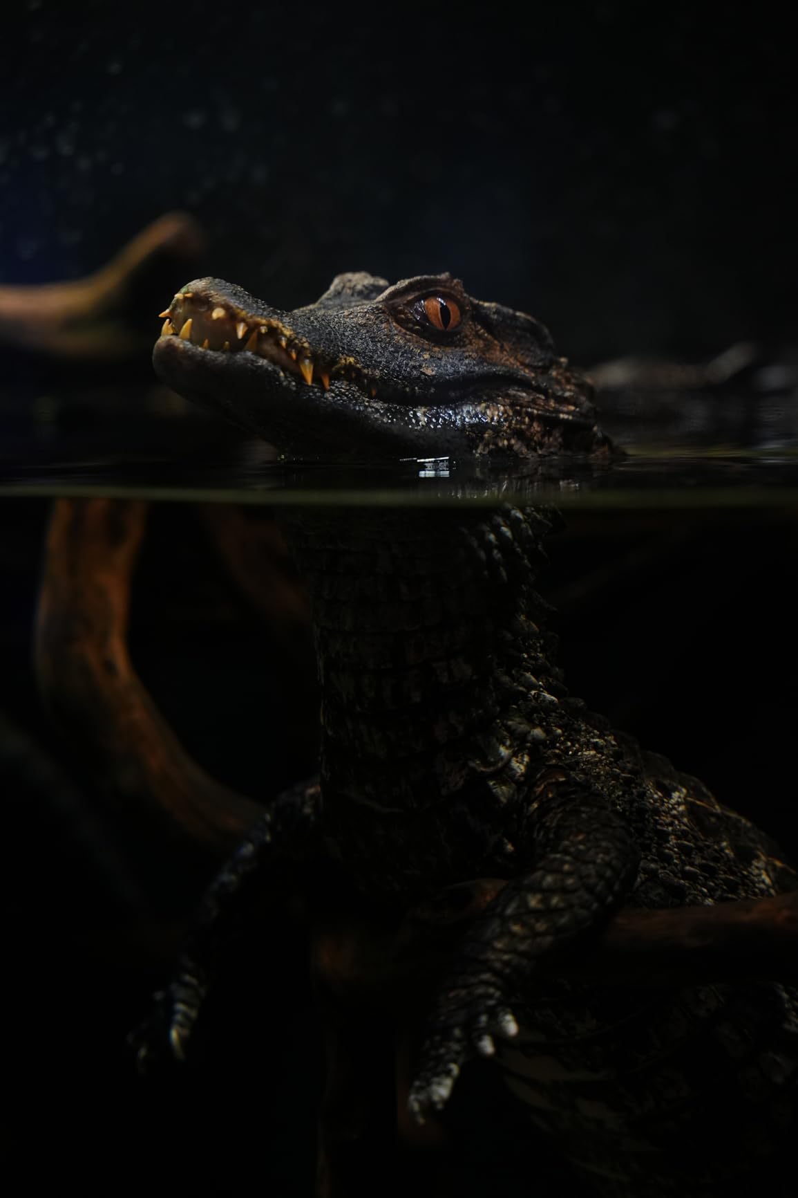 Sigma 28-70mm F2.8 DG DN for Sony E - Customer Photo 2