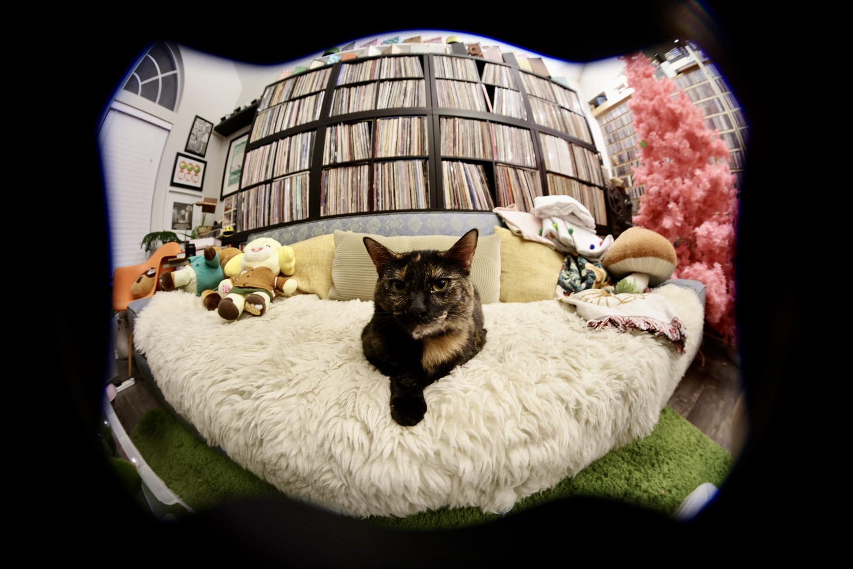 7artisans 7.5mm f2.8 Mark II APS-C Fisheye Wide Angle Manual Fixed Lens for Fujifilm FX Mirrorless Camera - Customer Photo 1