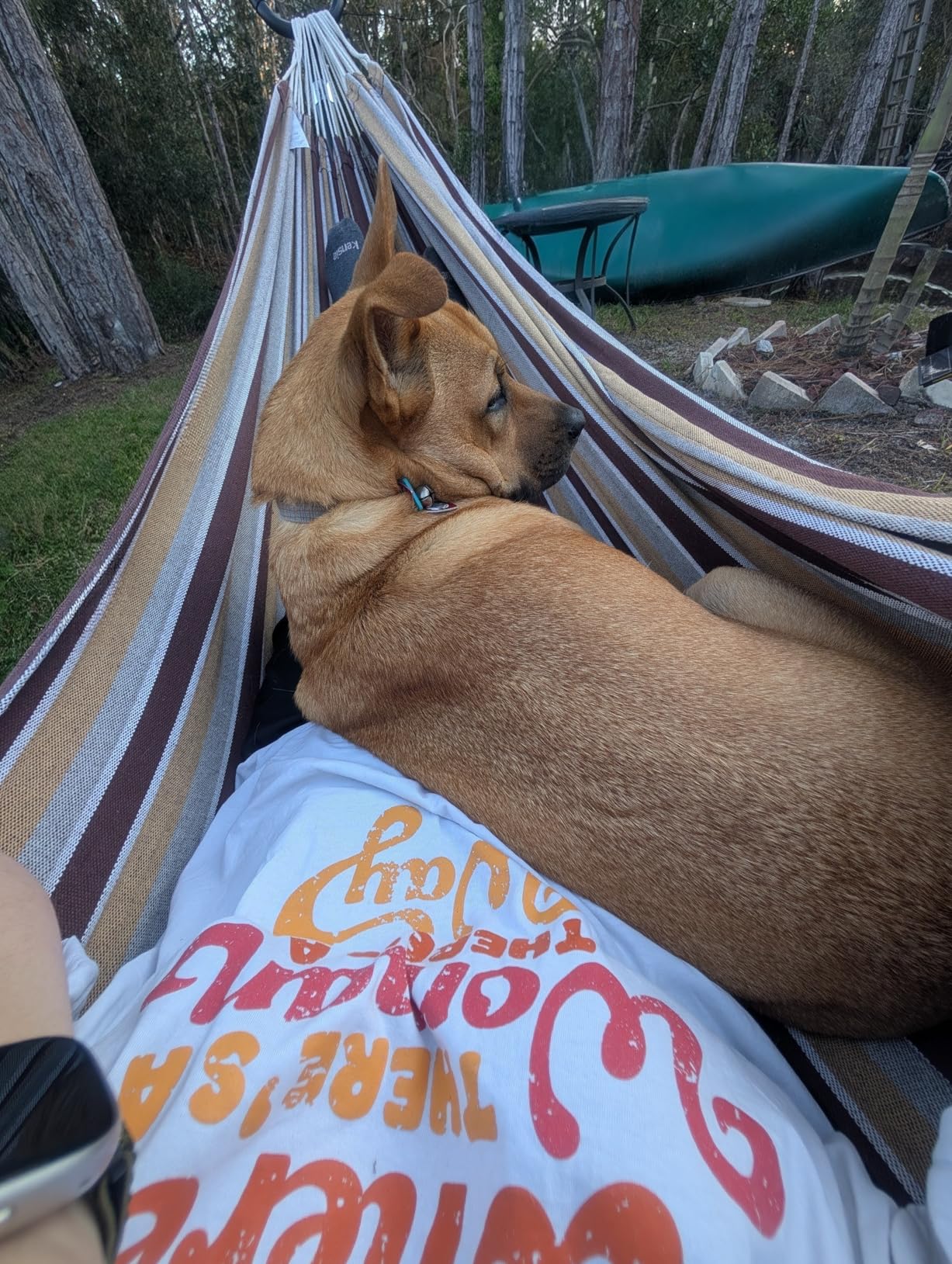 Amazon Basics Double Hammock with 9-Foot Space Saving Steel Stand and Carrying Case, 450 lb Capacity, Beige Stripe with Lace, 110 x 47 x 43 inches Customer Review Amazon Basics Double Hammock with 9-Foot Space Saving Steel Stand and Carrying Case, 450 lb Capacity, Beige Stripe with Lace, 110 x 47 x 43 inches - Customer Photo 1