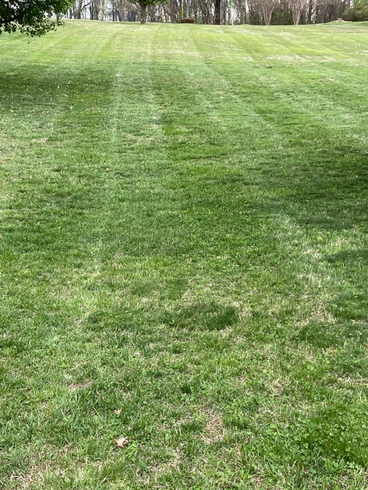 CUB CADET 59C30052150 Heavy Duty Striper Z ZTX4 ZTX5 ZTX6 Ultima 48 54 60 S L X - Customer Photo 1