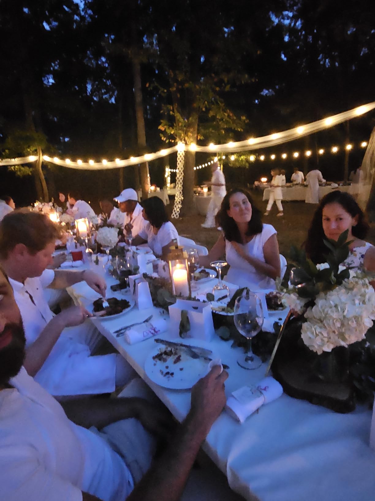 Brightever 100ft Outdoor G40 LED Globe String Lights Dimmable Waterproof Shatterproof Light Strings with 52 Bulbs Connectable Commercial Hanging Lights for Patio House Backyard Balcony - Customer Photo 2