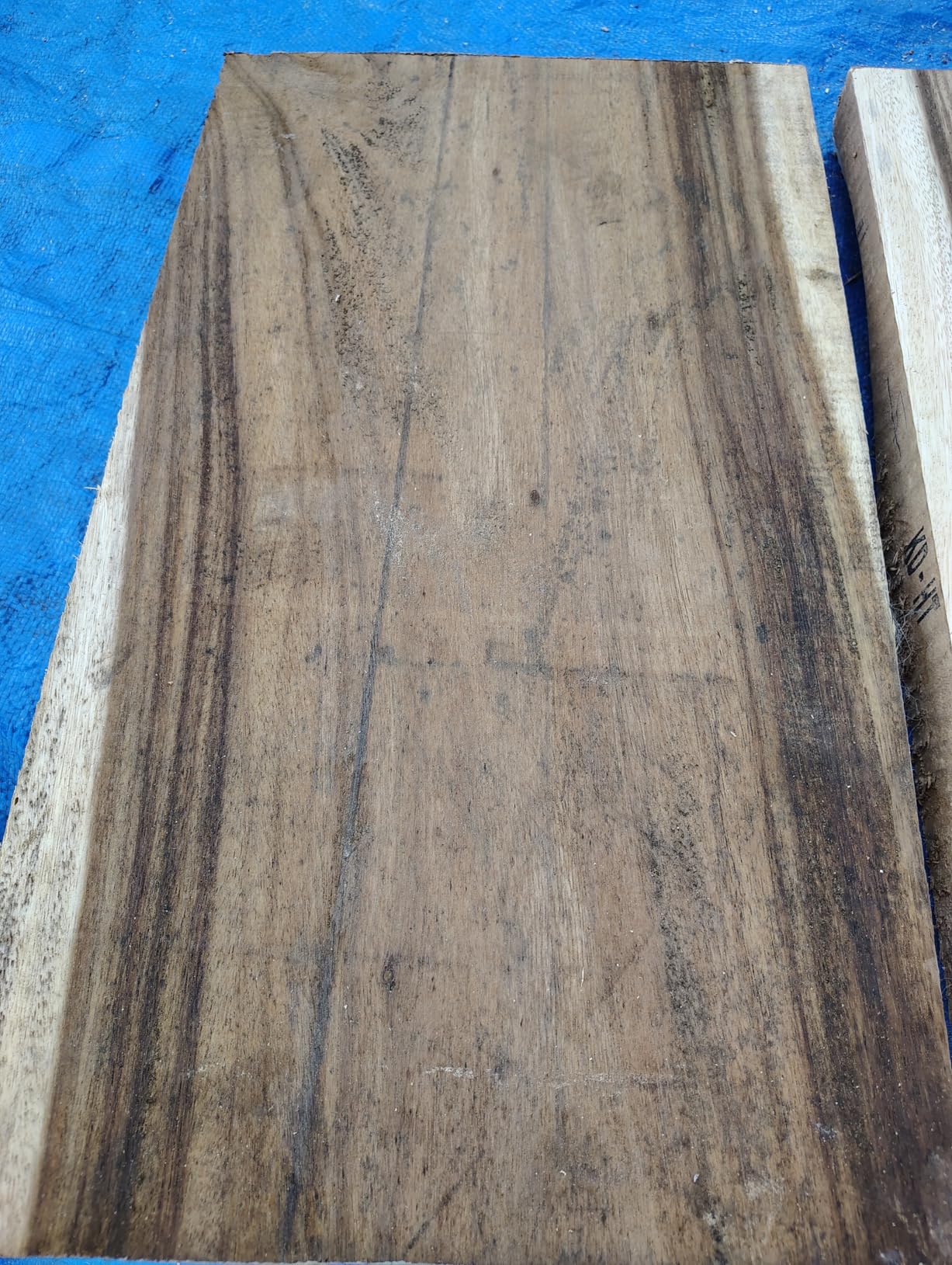 WEN PL1252 15-Amp 12.5-Inch Two-Blade Benchtop Thickness Planer, Black - Customer Photo 1