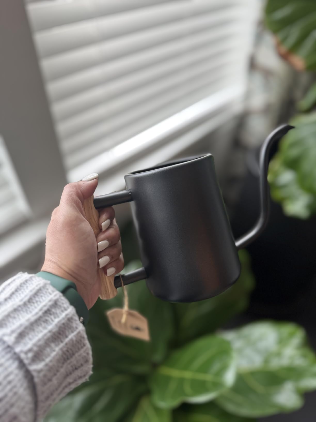 35 Ounce Metal Small Indoor Watering Can with Long Spout & Real Wood Handle for House Plants, Succulents, Cacti & Seedlings - Black Long Spout Watering Can Indoor Plants - Gentle Flow & No Spills - Customer Photo 2