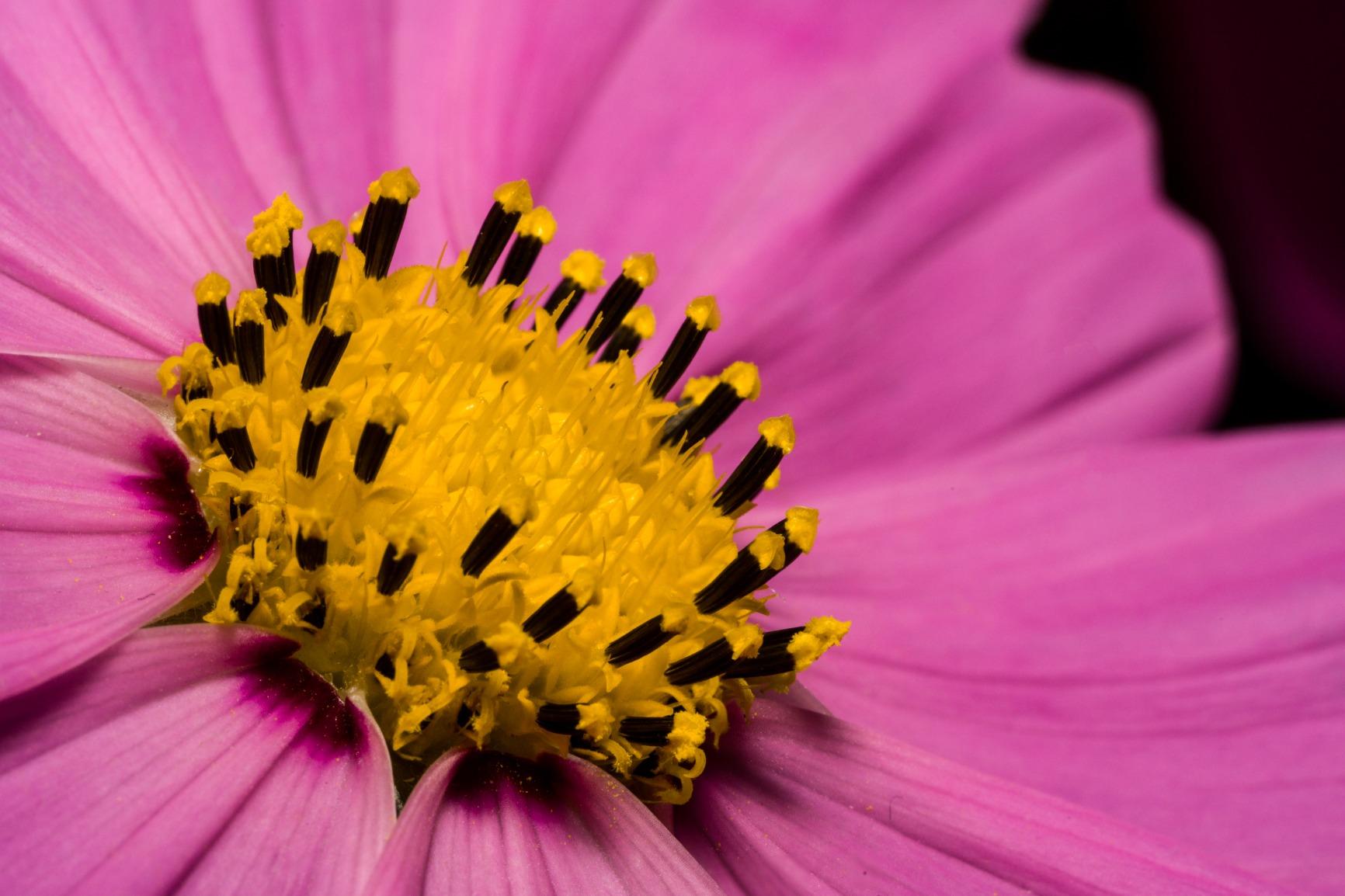 Sony Alpha 7R IV Full Frame Mirrorless Interchangeable Lens Camera w/High Resolution 61MP Sensor Customer Review Sony Alpha 7R IV Full Frame Mirrorless Interchangeable Lens Camera w/High Resolution 61MP Sensor - Customer Photo 4