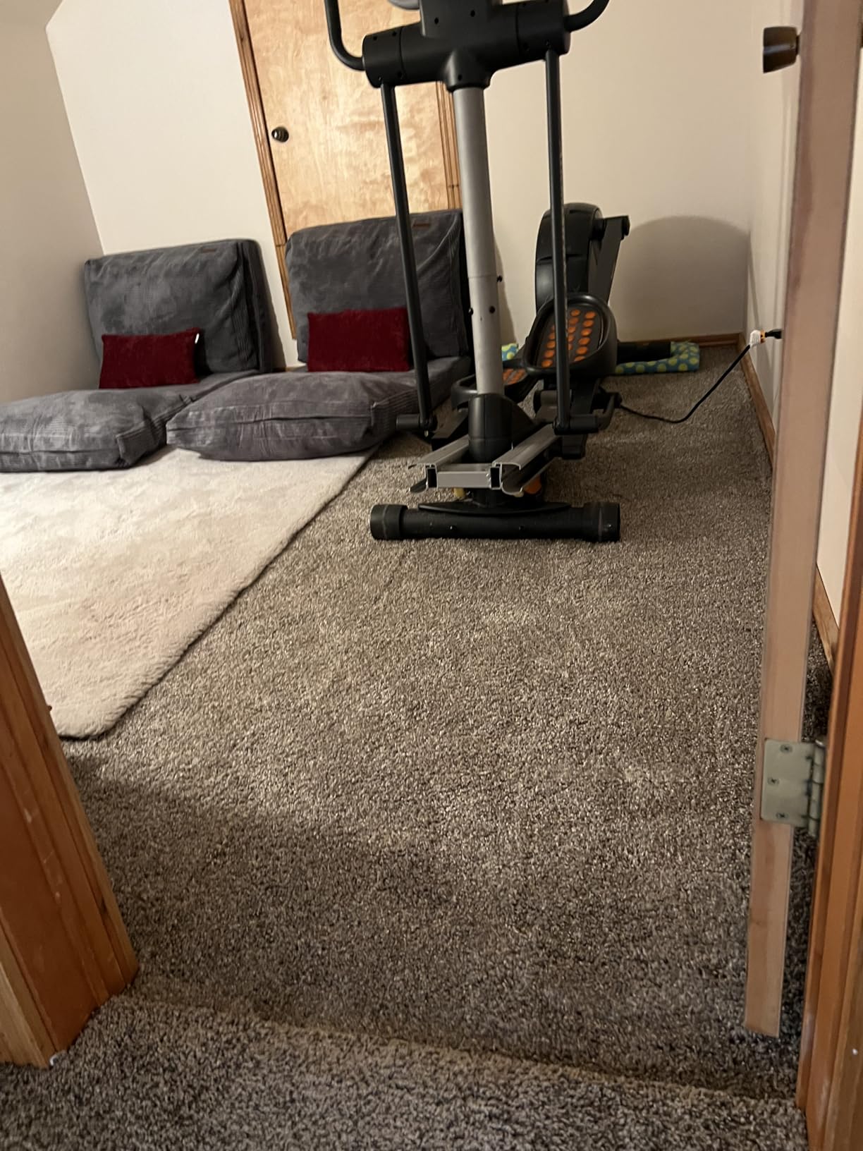 Eclipse Peel and Stick Carpet Tiles w/Attached Cushion, Easy DIY Install, Soft Residential Carpet, American Made, Seamless Appearance, Plush, Great for Area Rug (10 Tiles - 22.5 Square Feet, Sunset) - Customer Photo 1