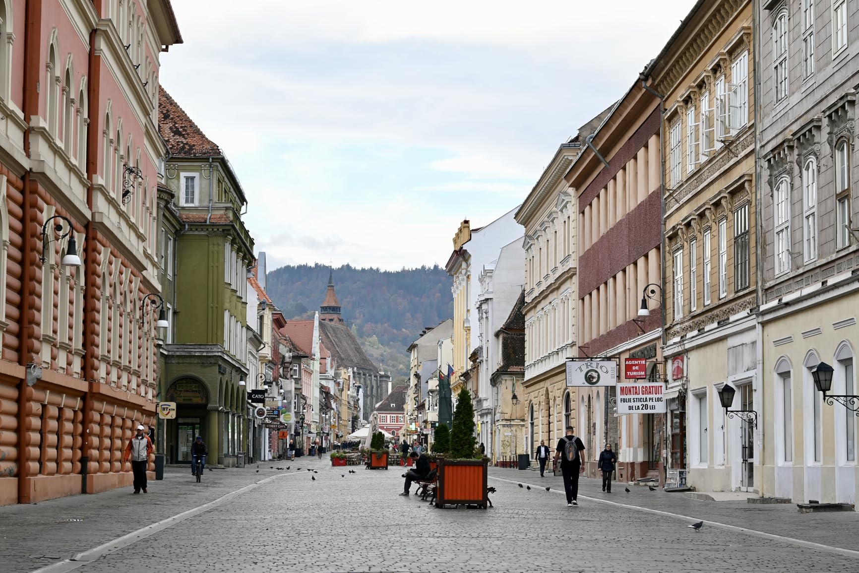 Nikon Z fc with Wide-Angle Zoom Lens | Retro-inspired compact mirrorless stills/video camera with 16-50mm zoom lens | Nikon USA Model - Customer Photo 2