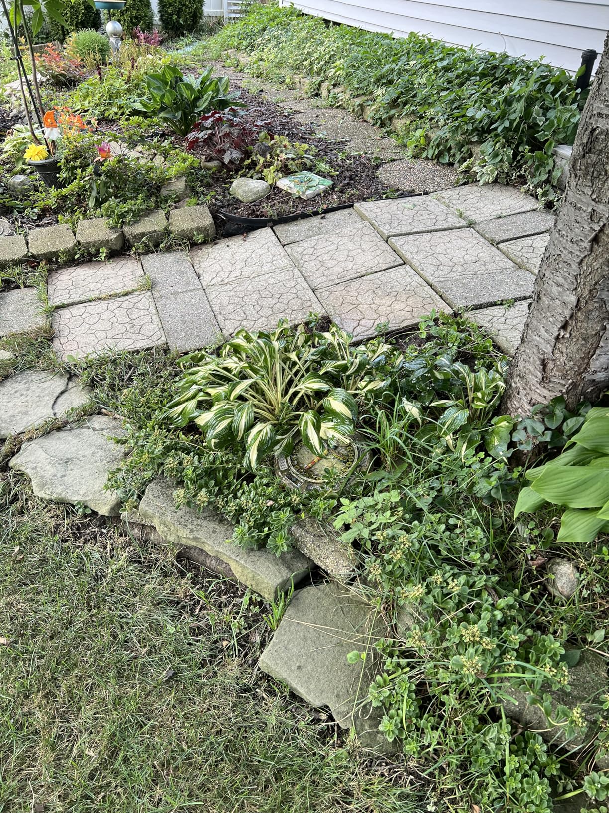 Greenworks 2000 PSI 1.2 GPM Pressure Washer (Open Frame GPW2003) GPW2003 - Customer Photo 3