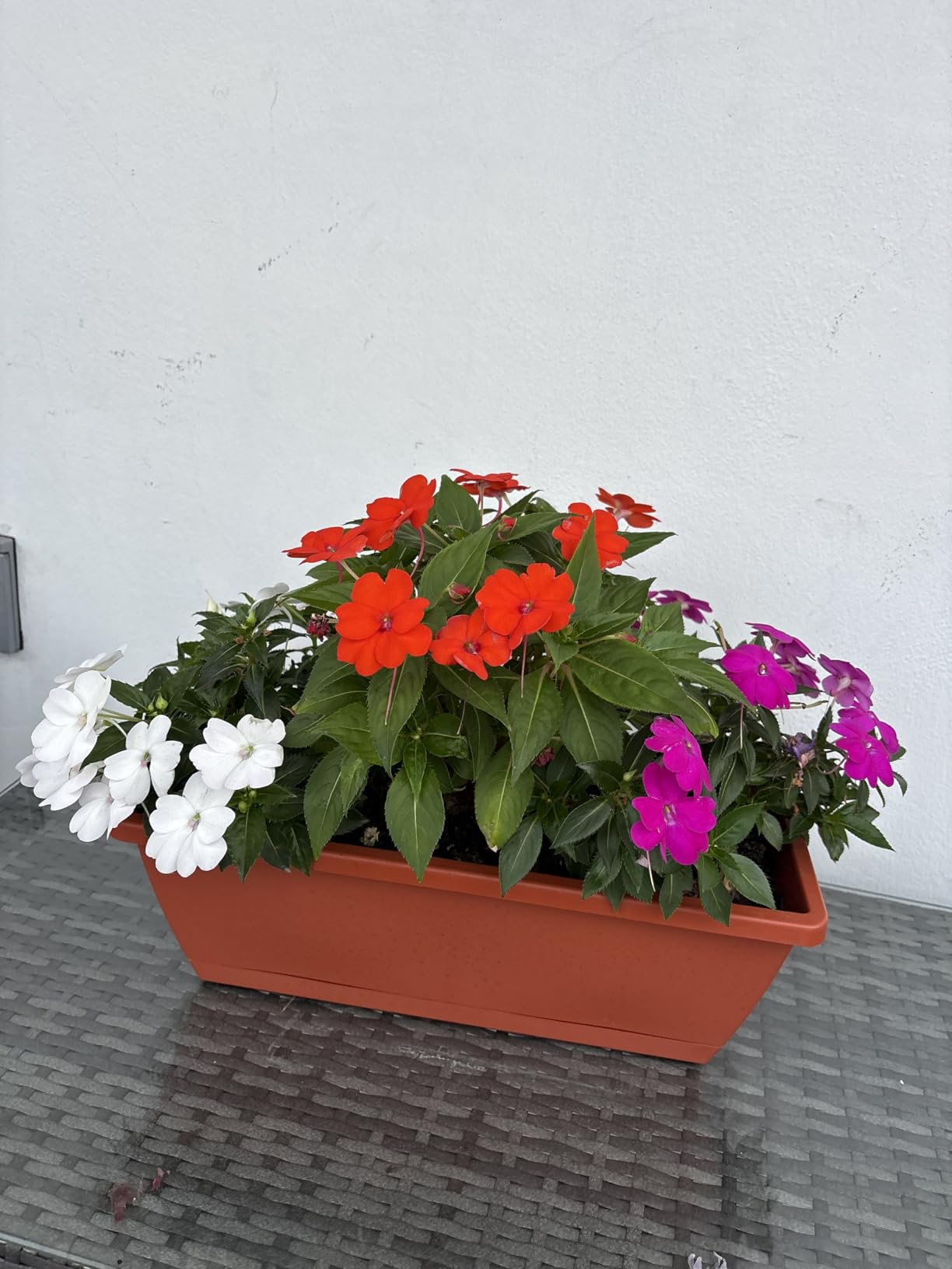 Window Box Planter, 7 Pack Plastic Vegetable Flower Planters Boxes 17 Inches Rectangular Flower Pots with Saucers for Indoor Outdoor Garden, Patio, Home Decor (Red) - Customer Photo 2
