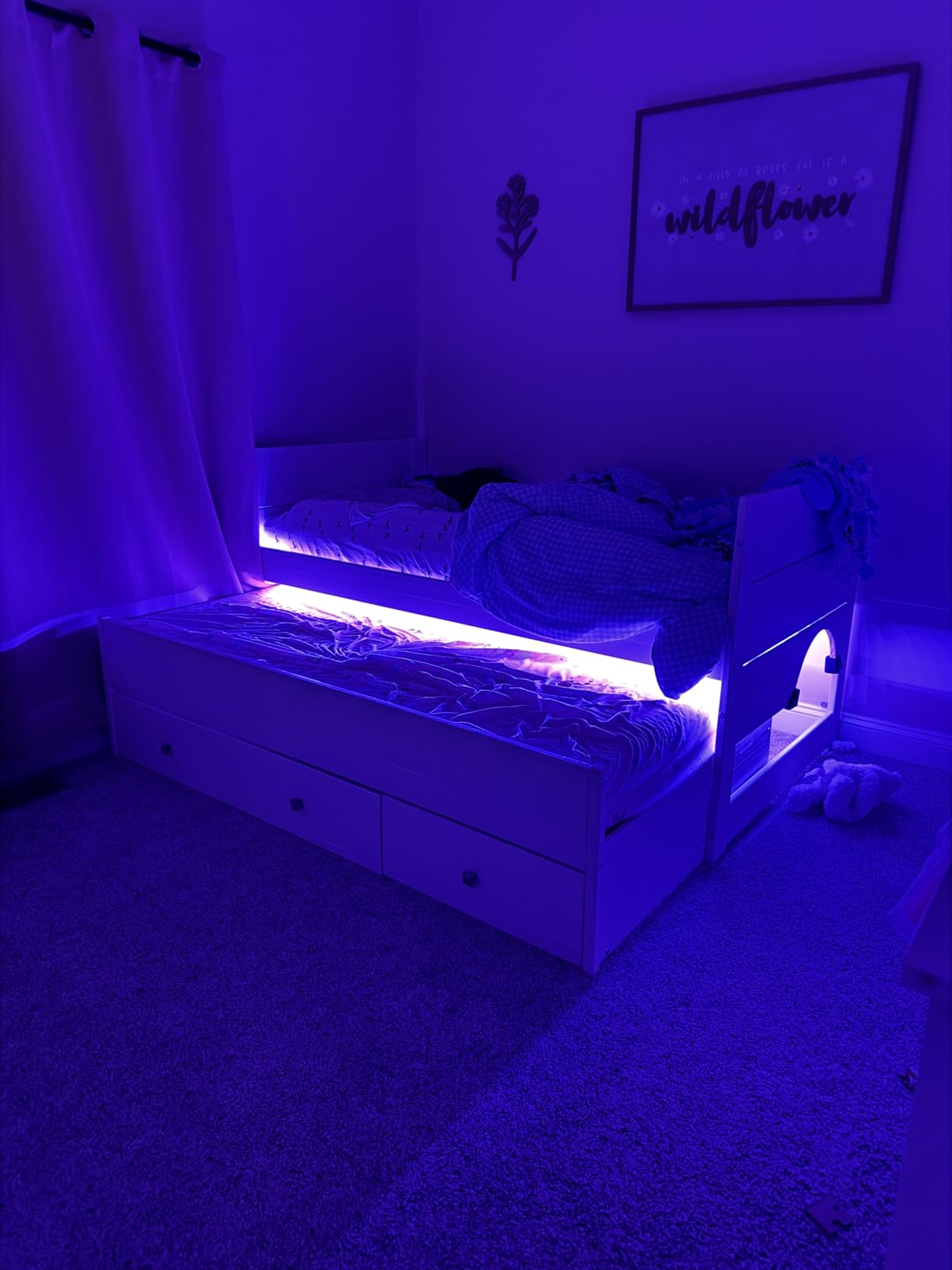 Govee RGBIC LED Strip Lights, Smart LED Lights for Bedroom, Bluetooth LED Lights APP Control, DIY Multiple Colors on One Line, Color Changing LED Strip Lighting Music Sync, Home Decor, 16.4ft - Customer Photo 1