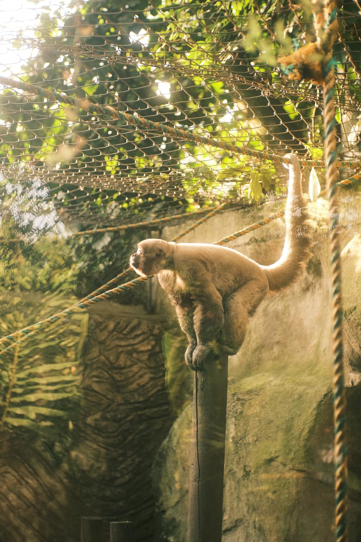 7artisans 35mm F1.4 Mark II APS-C Manual Focus Fixed Lens Large Aperture for Sony E Mount Mirrorless Cameras - Customer Photo 2