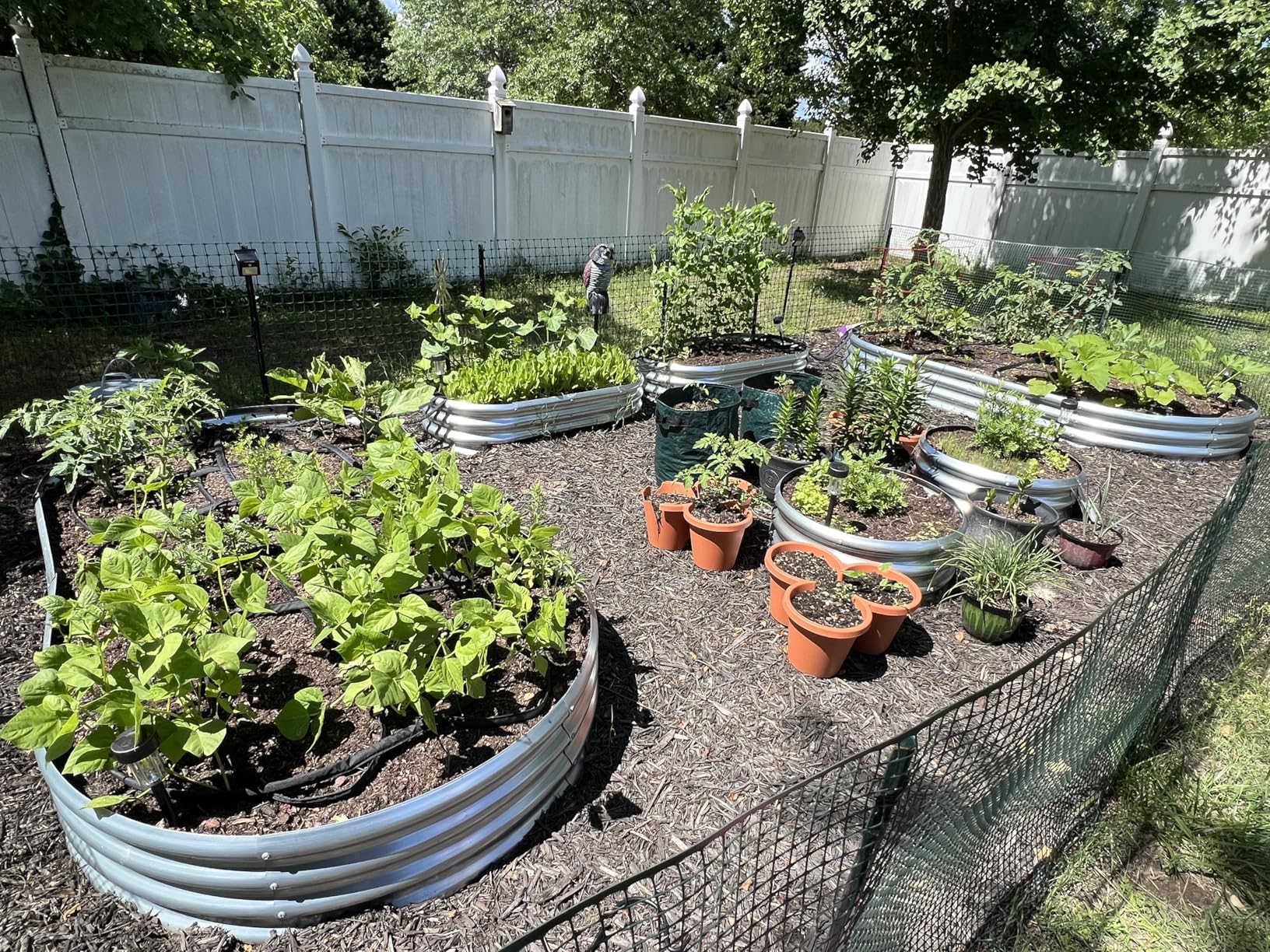 Land Guard Galvanized Raised Garden Bed Kit, Galvanized Planter Garden Boxes Outdoor, Oval Large Metal Raised Garden Beds for Vegetables - Customer Photo 2