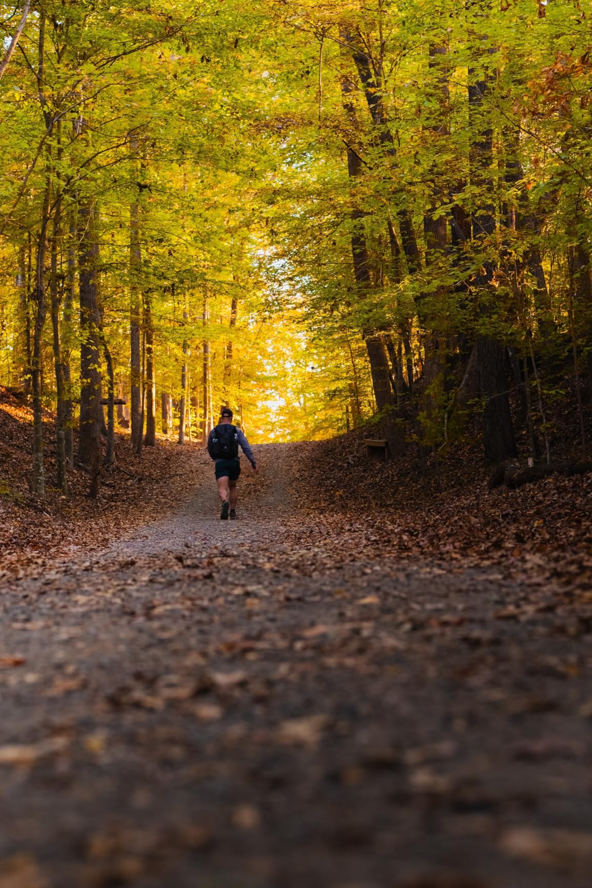 Panasonic LUMIX S Series Camera Lens, 24mm F1.8 L-Mount Interchangeable Lens for Mirrorless Full Frame Digital Cameras, S-S24 - Customer Photo 1