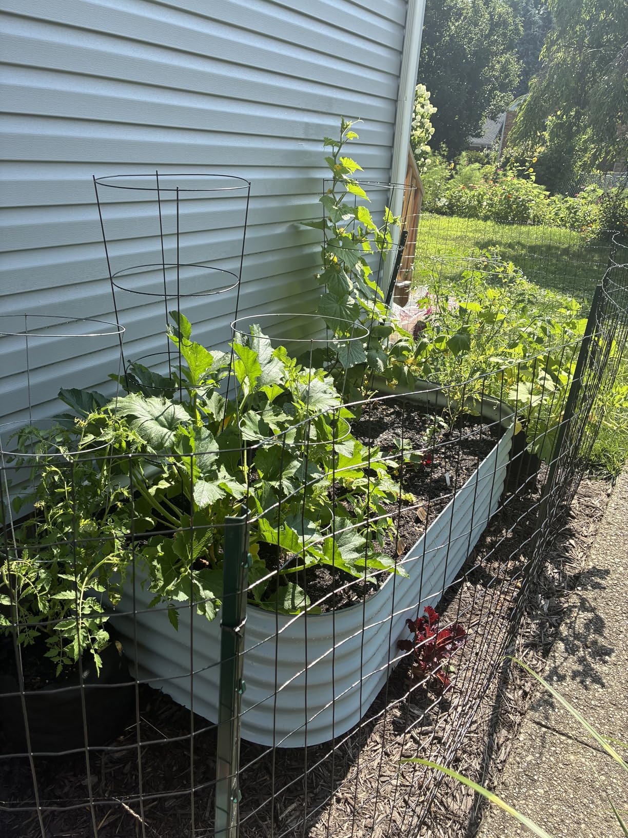 Vego garden Raised Garden Bed Kits, 17