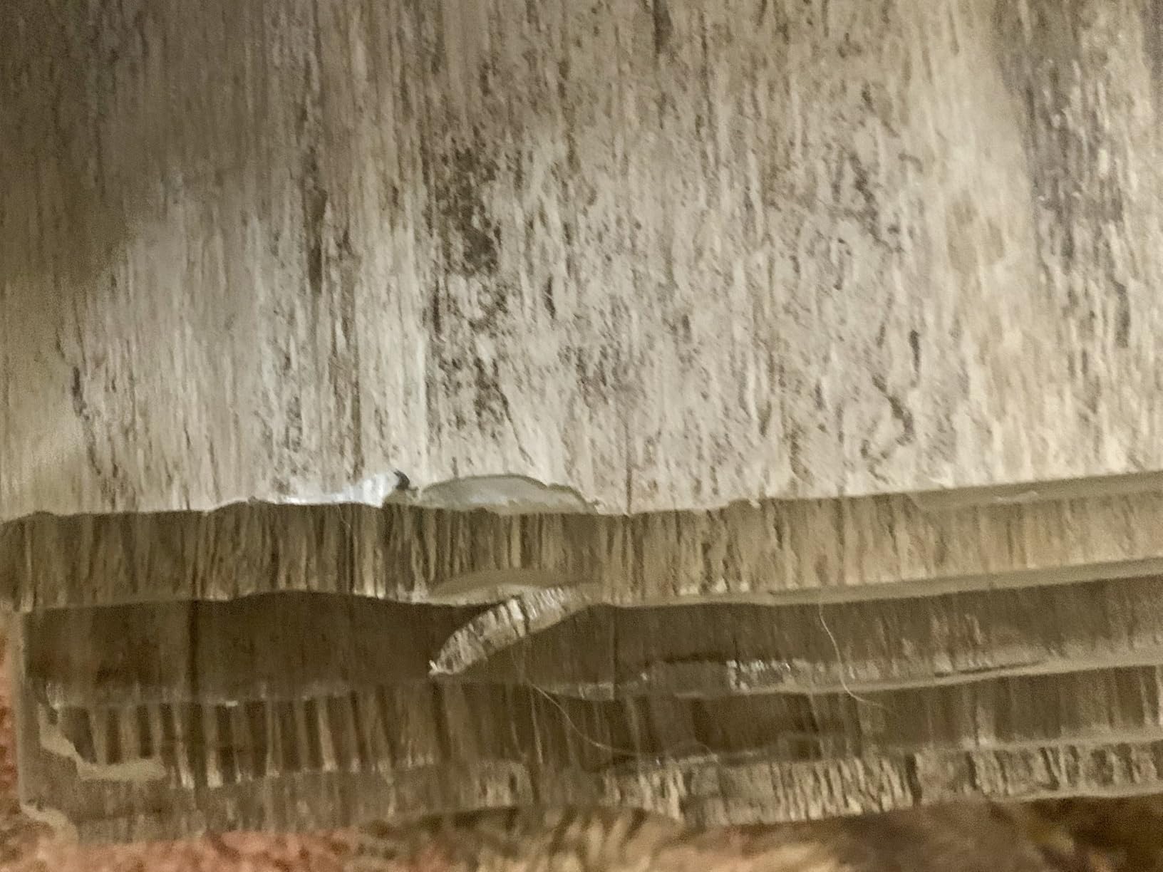 MSI McKenna 7 in. x 48 in. Luxury Vinyl Flooring, Rigid Core Planks, LVT Tile, Waterproof LVT, Wood Grain Finish, Digby Gray-Dark, 12 MIL Wear Layer, 5 mm Thick, 23.77 sq.ft/Case customer photo 1