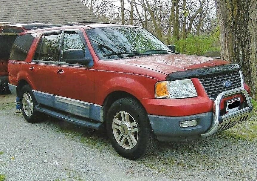 Kate Naturals Peppermint Oil Spray for Rodents, Squirrels, Mouse, Bat, Rat, Car Engines, Mice (16oz, Non-Toxic Rodent Repellent, Pet Safe) - Customer Photo 2