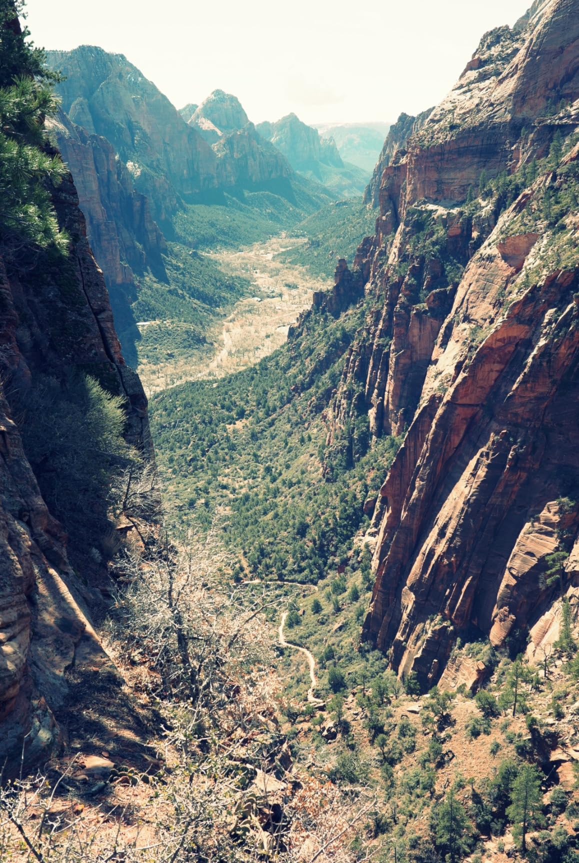 Ricoh GR IIIx, Black, Digital Compact Camera with 24MP APS-C Size CMOS Sensor, 40mmF2.8 GR Lens (in The 35mm Format) Customer Review Ricoh GR IIIx, Black, Digital Compact Camera with 24MP APS-C Size CMOS Sensor, 40mmF2.8 GR Lens (in The 35mm Format) - Customer Photo 2