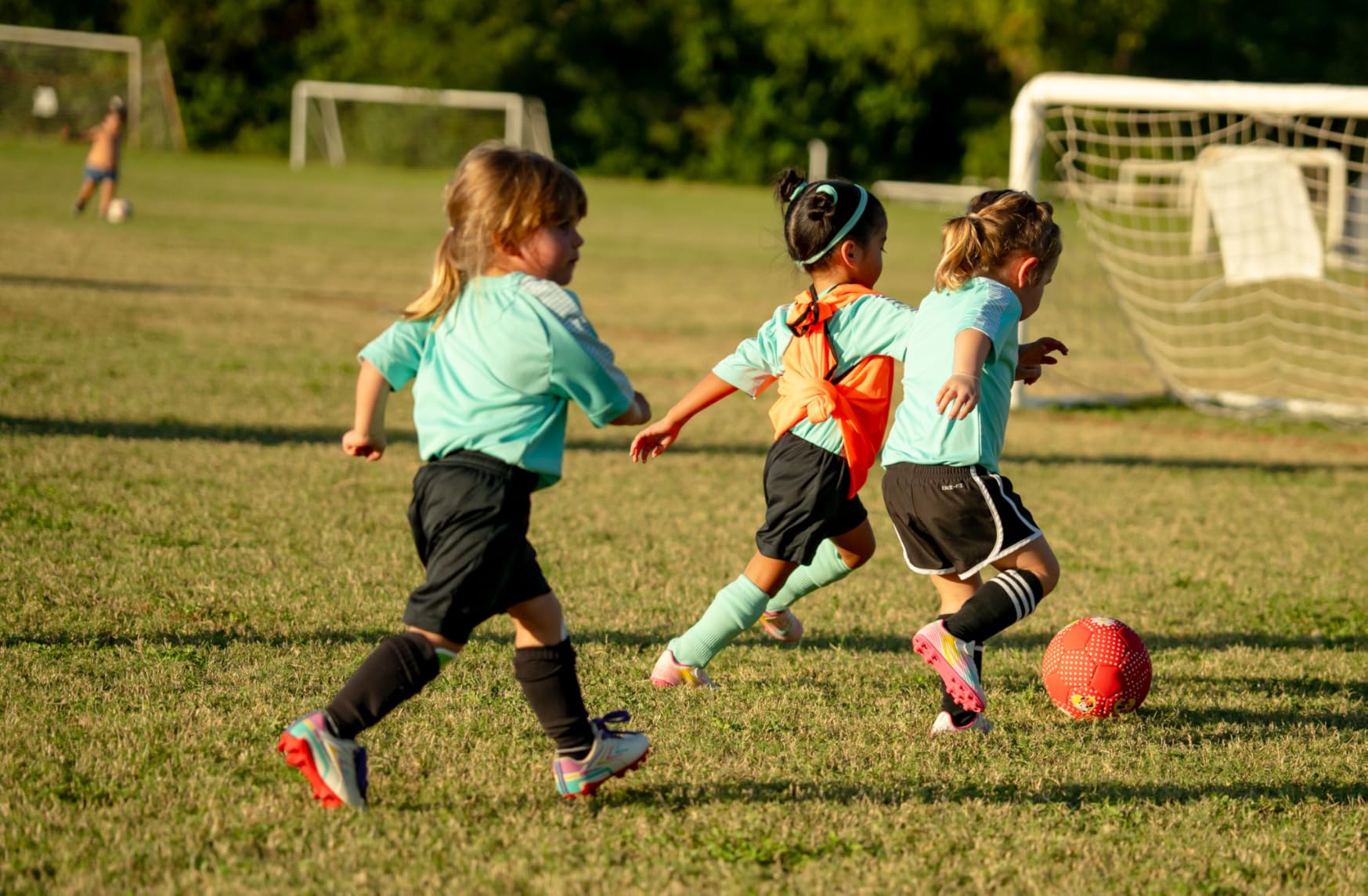 Sony FE 70-200mm F2.8 GM OSS II - Customer Photo 2