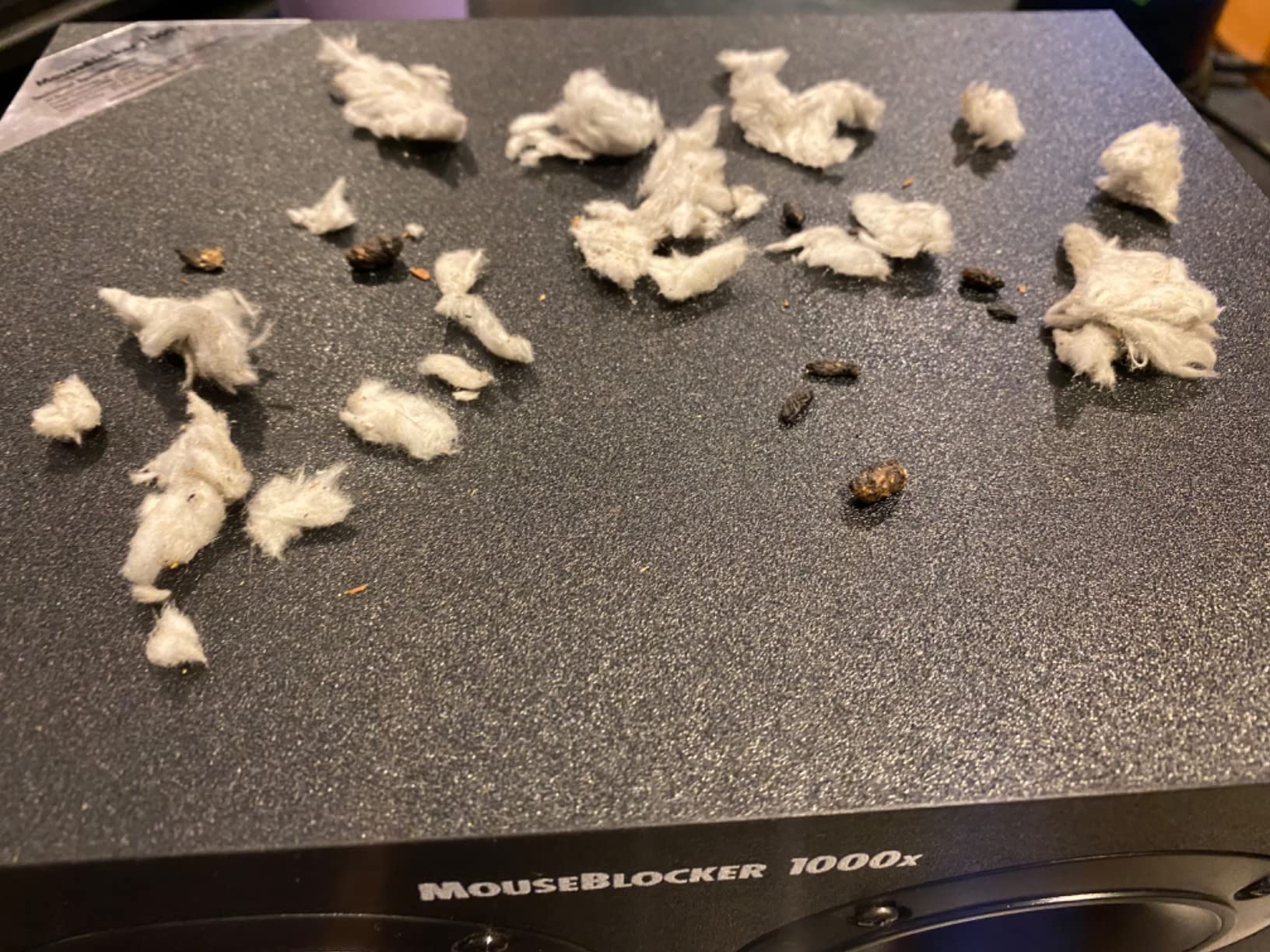 MouseBlocker 1000x Powerful Plug-in Ultrasonic Mouse and Rodent Deterrent for Buildings, Garages, Attics and More. Works with All Rodents. Ultrasonic Rodent Repeller Customer Review MouseBlocker 1000x Powerful Plug-in Ultrasonic Mouse and Rodent Deterrent for Buildings, Garages, Attics and More. Works with All Rodents. Ultrasonic Rodent Repeller - Customer Photo 1