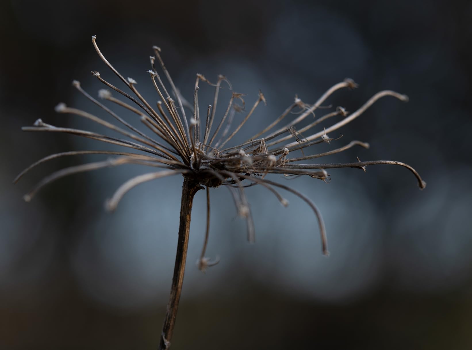 Godox V860III-C Camera Flash for Canon Camera Flash Speedlite Speedlight Light,2.4G HSS 1/8000s,480 Full-Power Flashes,7.2V/2600mAh Li-ion Battery,0.01-1.5s Recycle Time,10 Levels LED Modeling Lamp Customer Review Godox V860III-C Camera Flash for Canon Camera Flash Speedlite Speedlight Light,2.4G HSS 1/8000s,480 Full-Power Flashes,7.2V/2600mAh Li-ion Battery,0.01-1.5s Recycle Time,10 Levels LED Modeling Lamp - Customer Photo 1