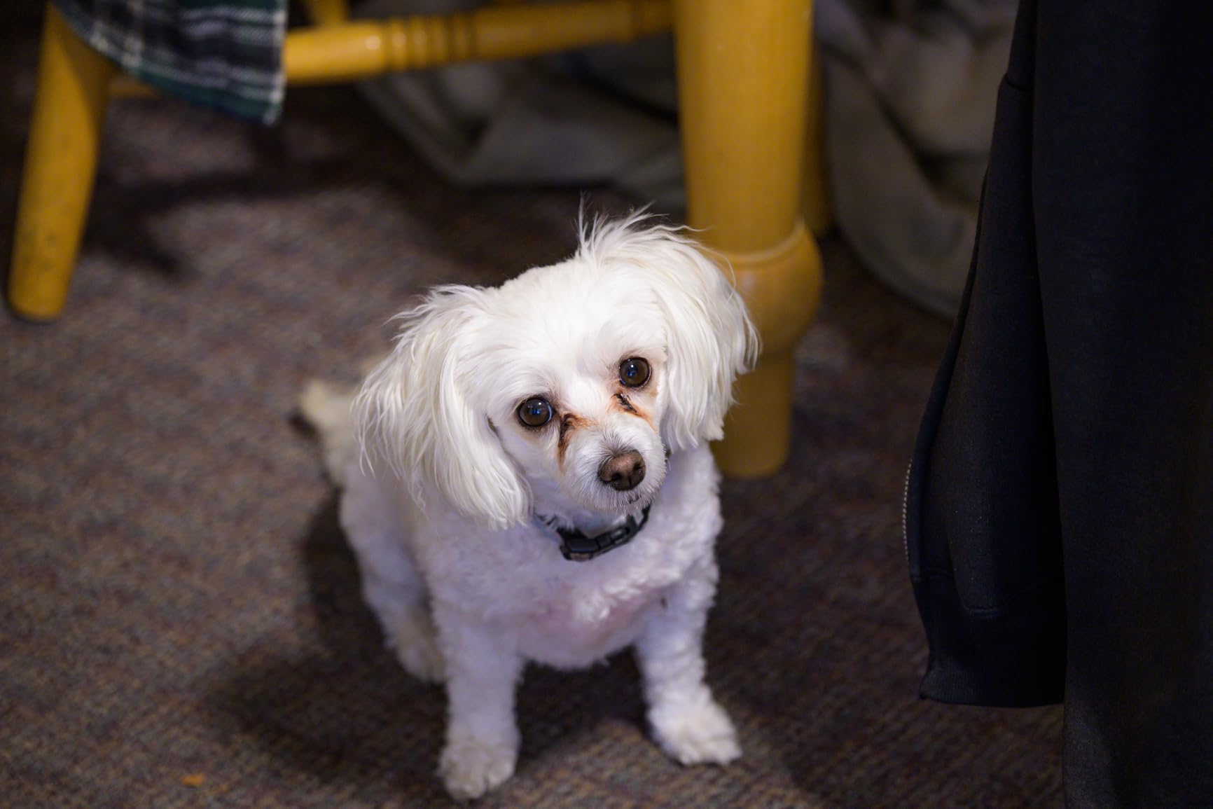 NIKKOR Z 24-120mm f/4 S | Premium constant aperture all-in-one zoom lens for Z series mirrorless cameras - Customer Photo 2