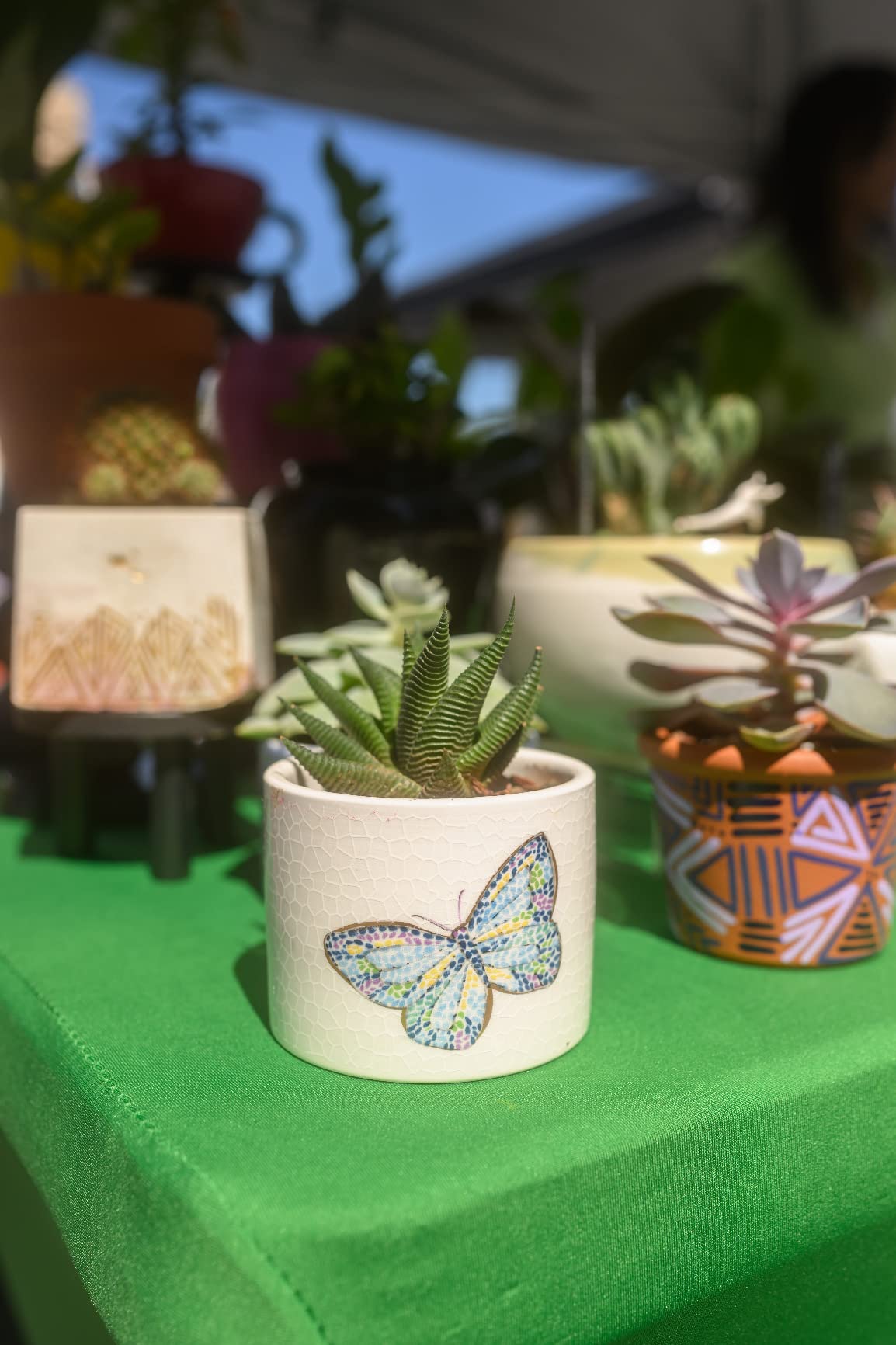 Nikon Z 9 | Flagship professional full-frame stills/video mirrorless camera | Nikon USA Model - Customer Photo 3