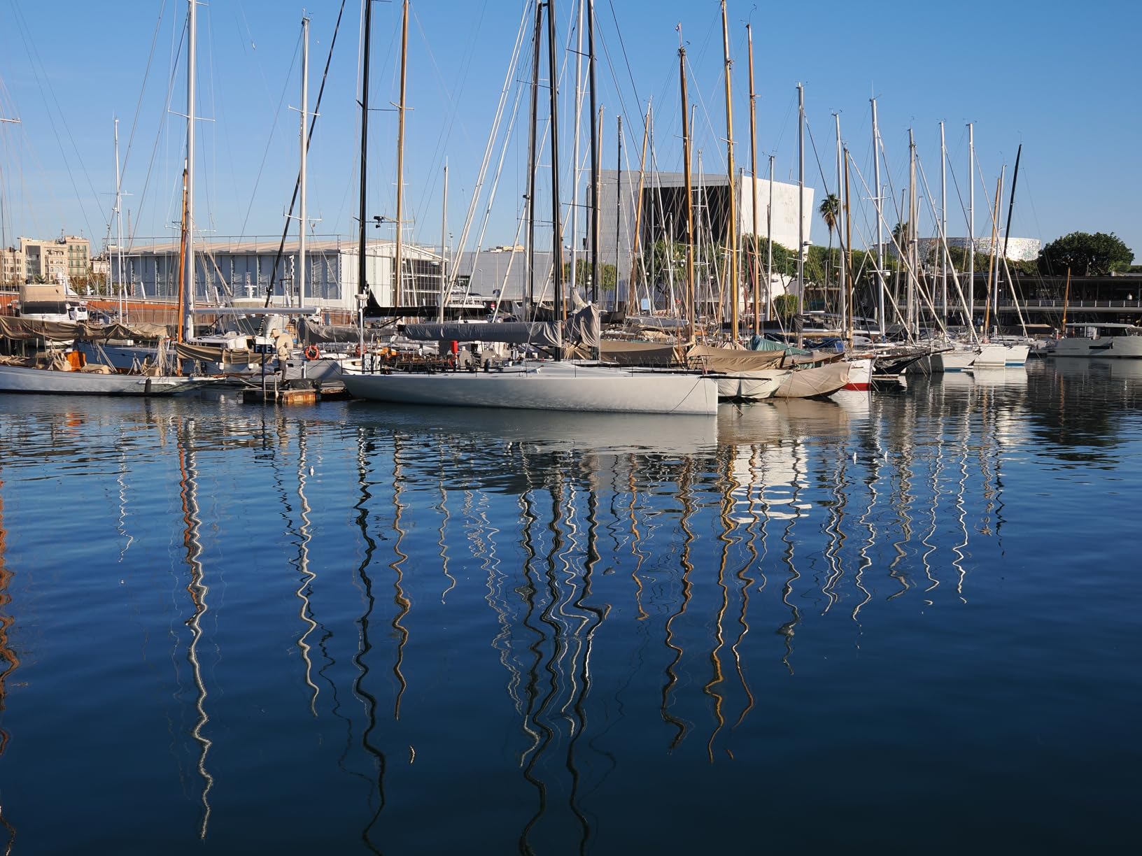 OM SYSTEM Olympus M.Zuiko Digital ED 20mm F1.4 PRO Lens,Black - Customer Photo 2