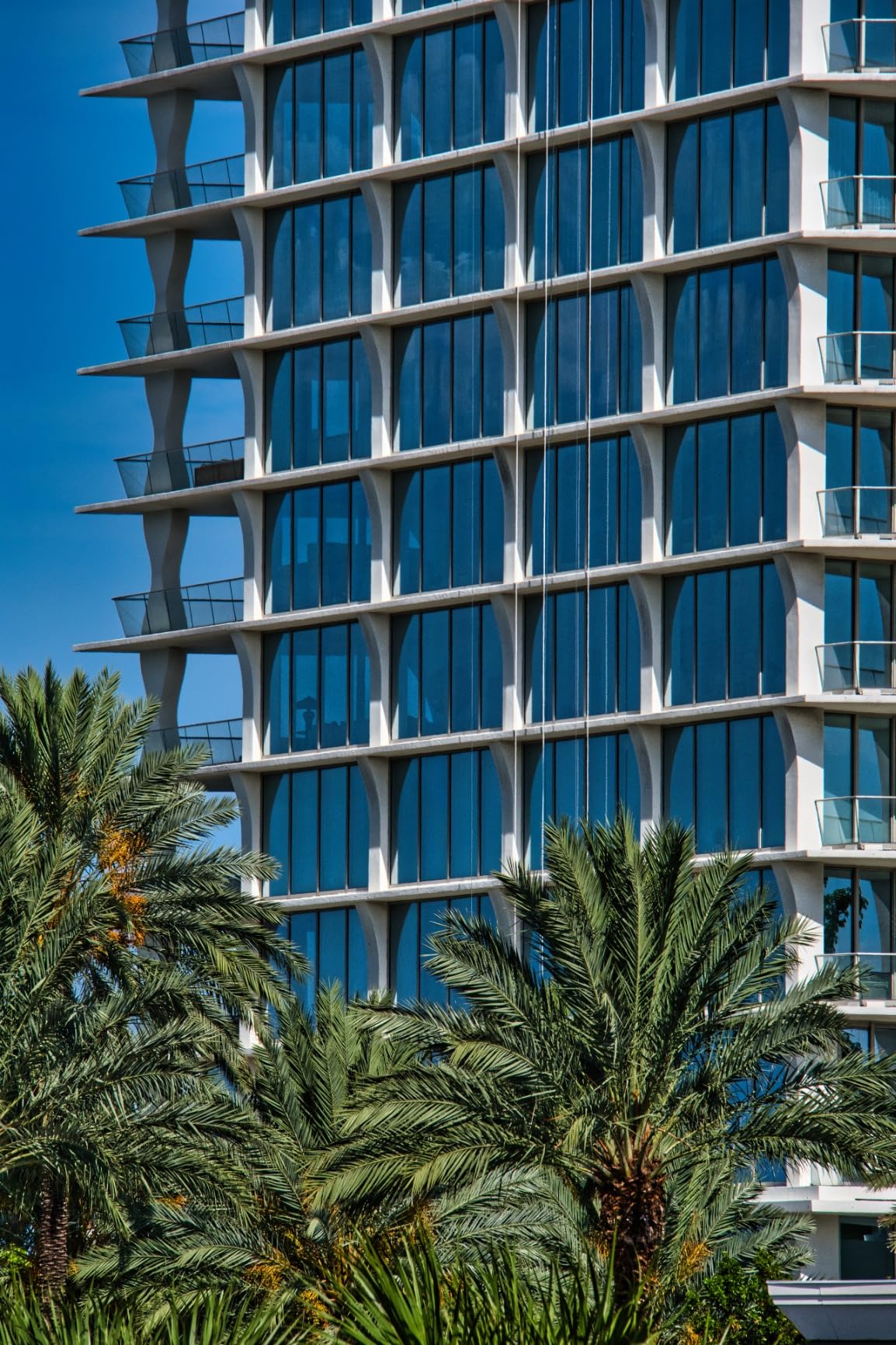 Tamron 18-300mm F/3.5-6.3 Di III-A VC VXD for Fujifilm X-Mount (Tamron 6 Year Limited USA Warranty) - Customer Photo 2