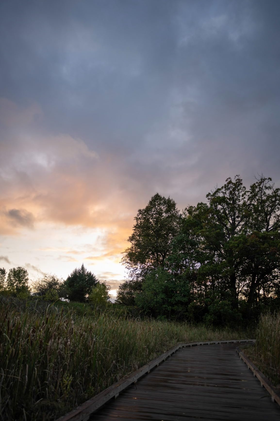 Nikon NIKKOR Z 28mm f/2.8 | Compact standard prime lens for Z series mirrorless cameras - Customer Photo 2