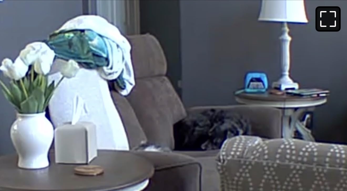 Blink Mini Pan-Tilt Camera (newest model), Rotating indoor plug-in smart security camera, two-way audio, HD video, motion detection, Works with Alexa (White) - Customer Photo 2