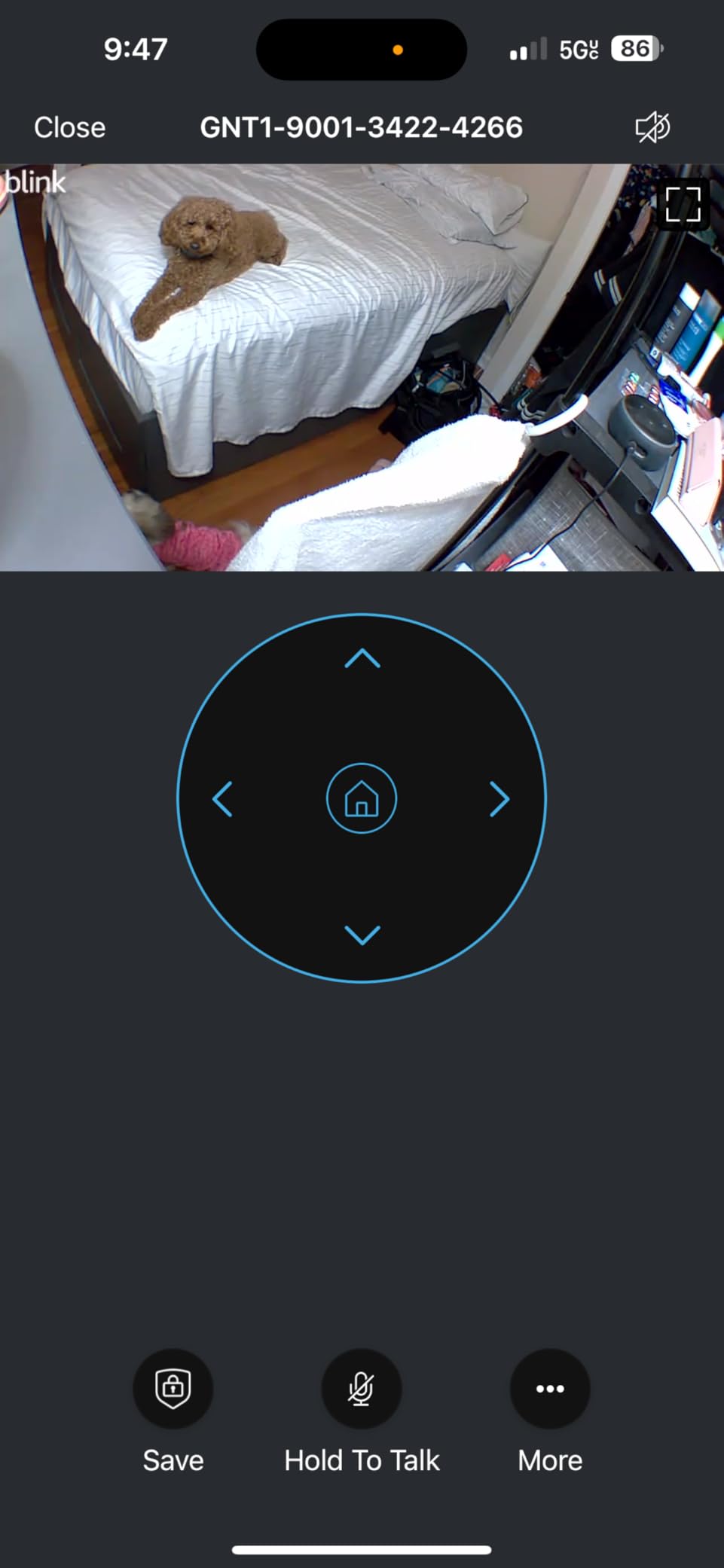 Blink Mini Pan-Tilt Camera (newest model), Rotating indoor plug-in smart security camera, two-way audio, HD video, motion detection, Works with Alexa (White) - Customer Photo 2